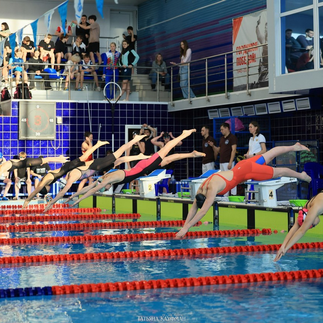 Татьяна Кауфман - отзывы о фотосессия. Фотограф Анималист из Новосибирска Татьяна Кауфман