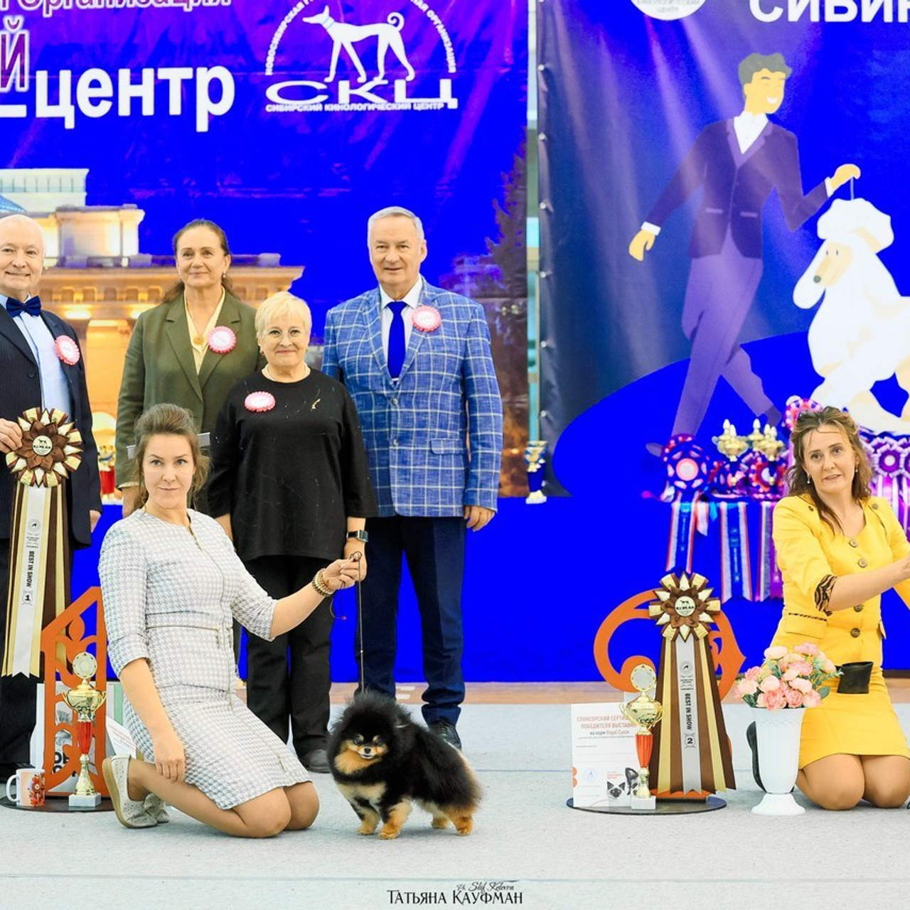 Татьяна Кауфман - отзывы о фотосессия. Фотограф Анималист из Новосибирска Татьяна Кауфман