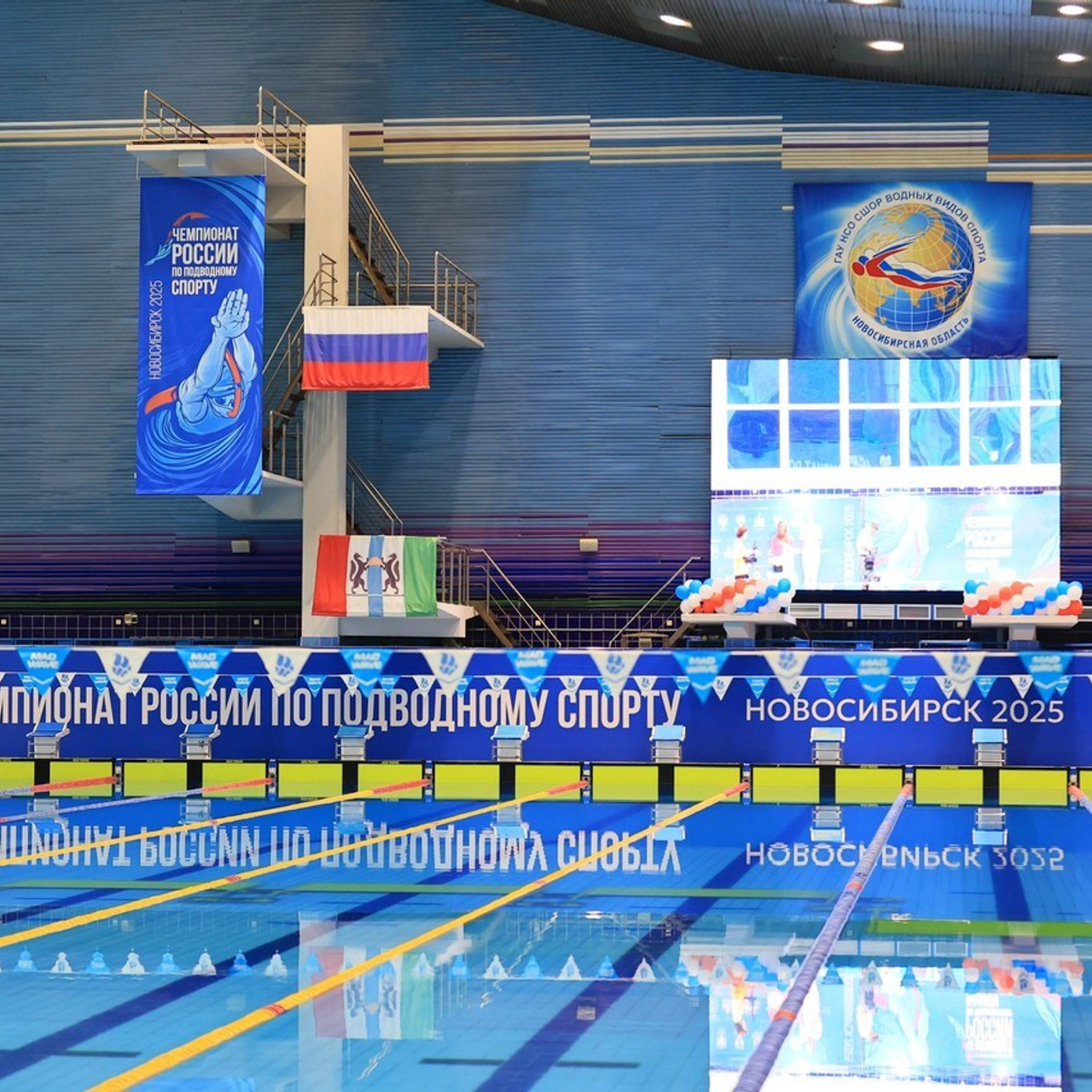 Татьяна Кауфман - отзывы о фотосессия. Фотограф Анималист из Новосибирска Татьяна Кауфман