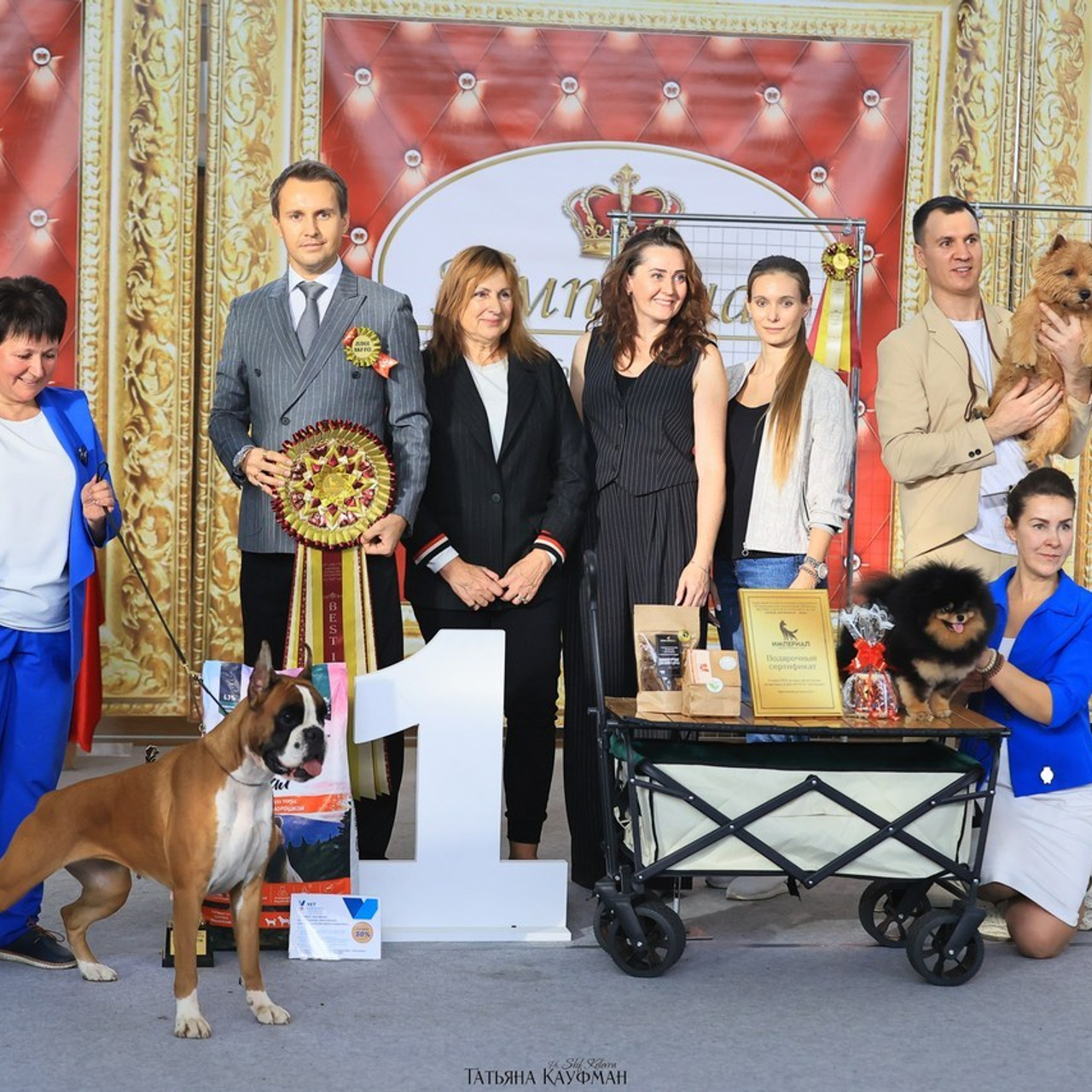 Татьяна Кауфман - отзывы о фотосессия. Фотограф Анималист из Новосибирска Татьяна Кауфман