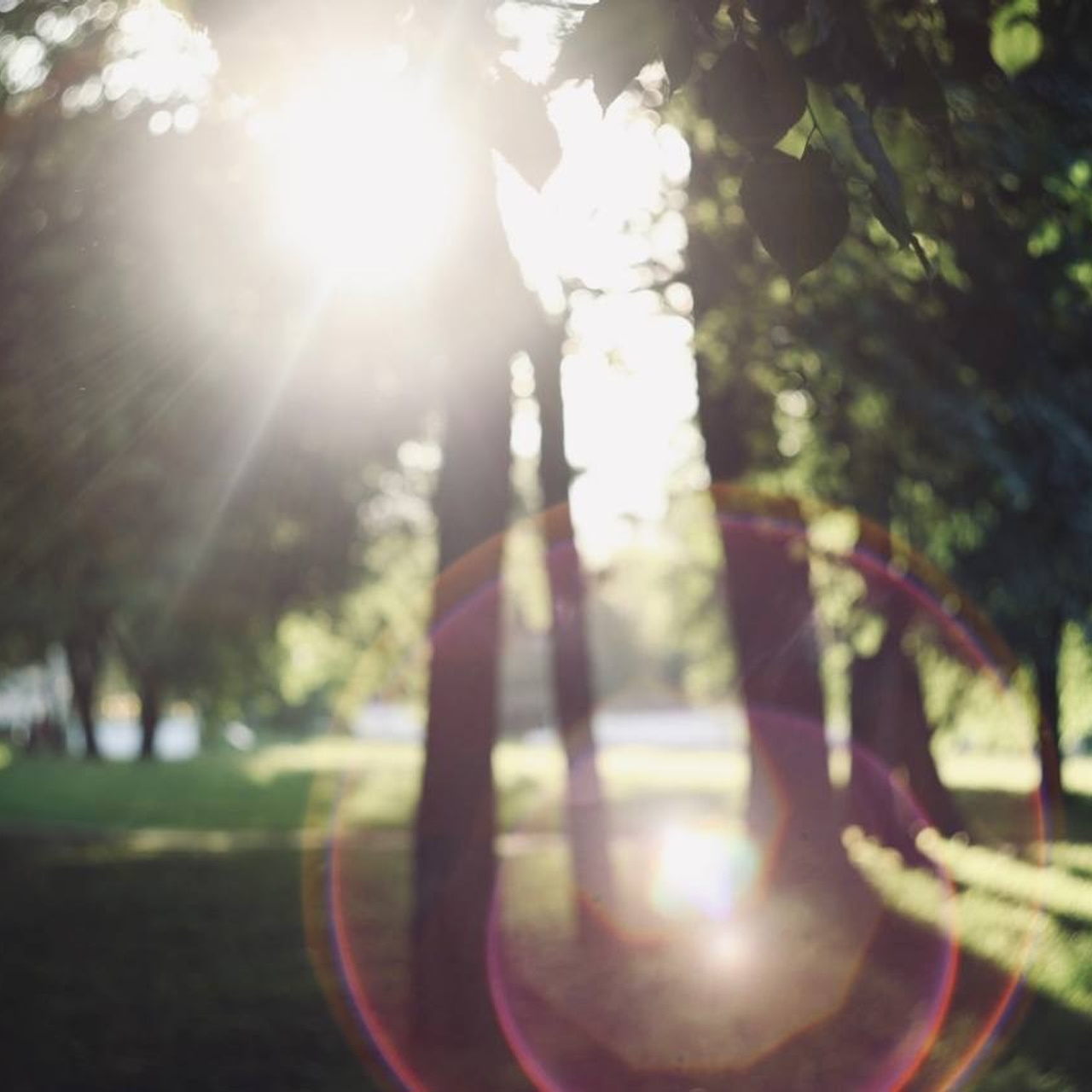 Фото прогулки