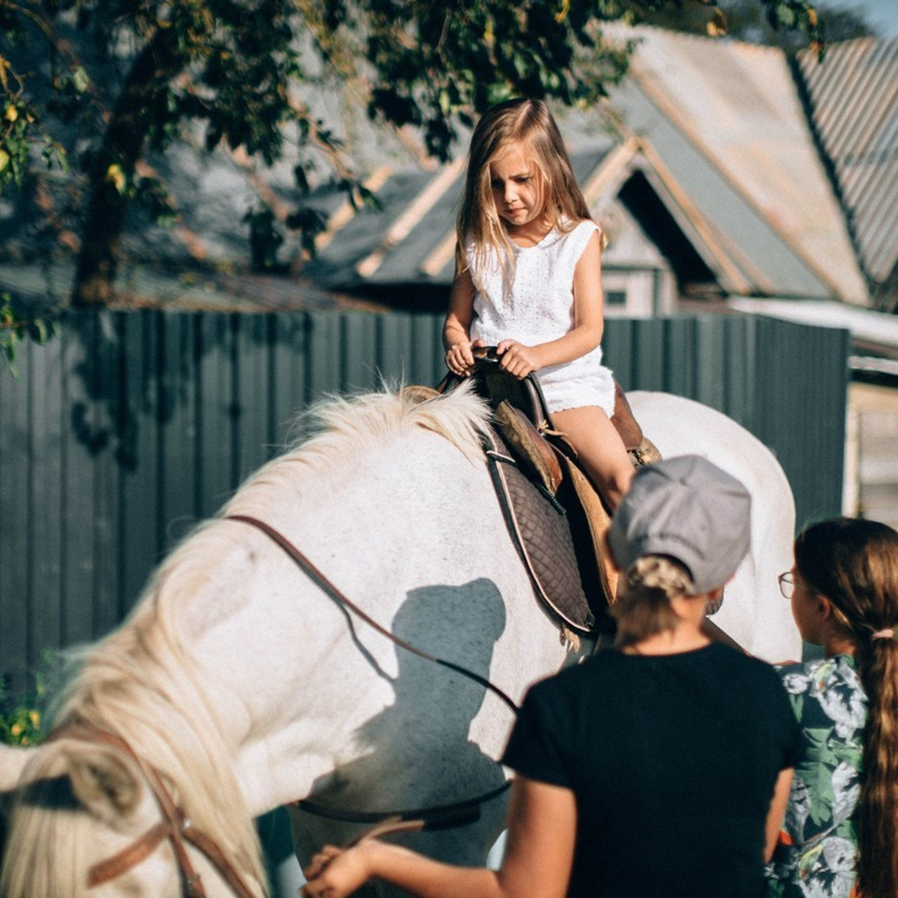 Отзывы. Фотограф Дмитрий Щекочихин