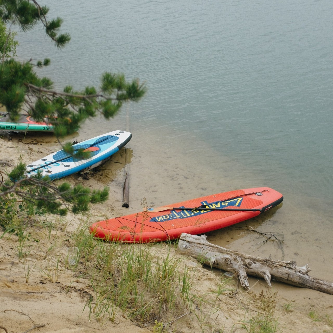 Отзывы. Репортажный и свадебный фотограф в Сургуте