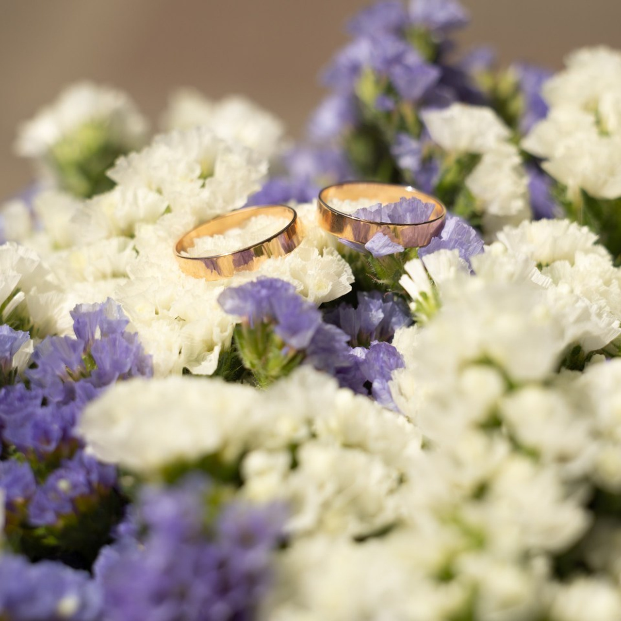 Отзывы. Фотограф в Сочи