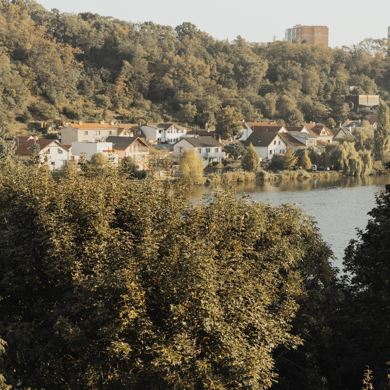 Reference fotografa. Svatební fotografka