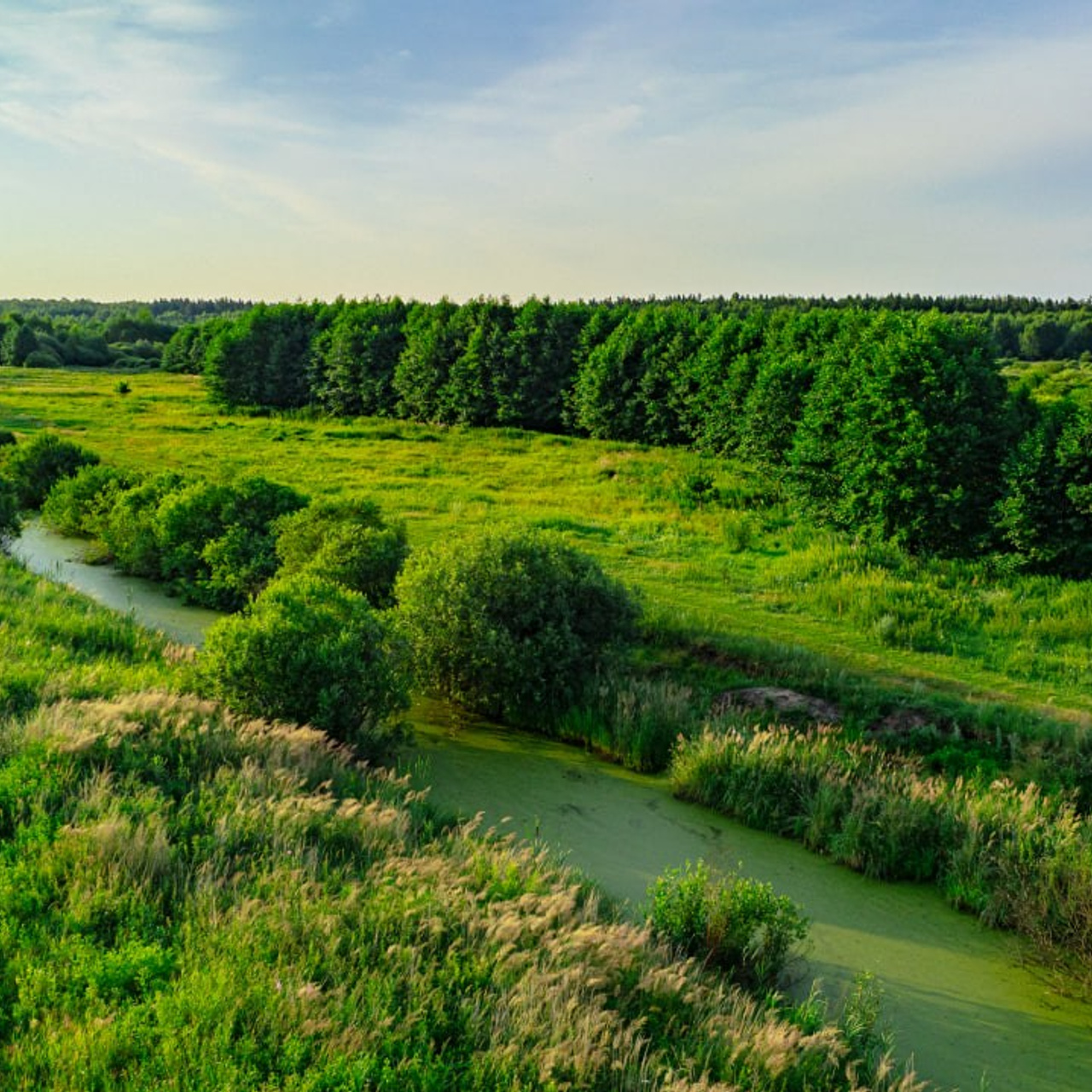 Квадрокоптер