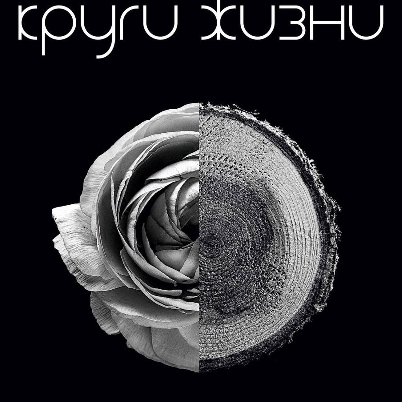 Персональная выставка «Круги жизни»