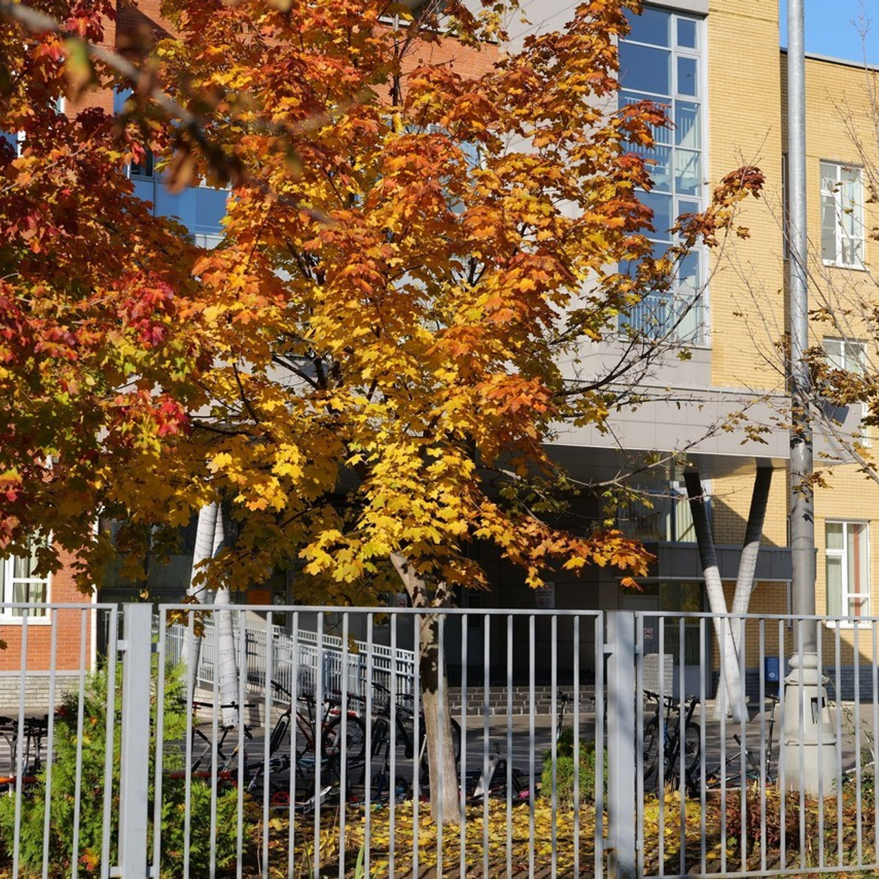 Отзывы. Семейный и женский фотограф в Москве Зоя Бучерова