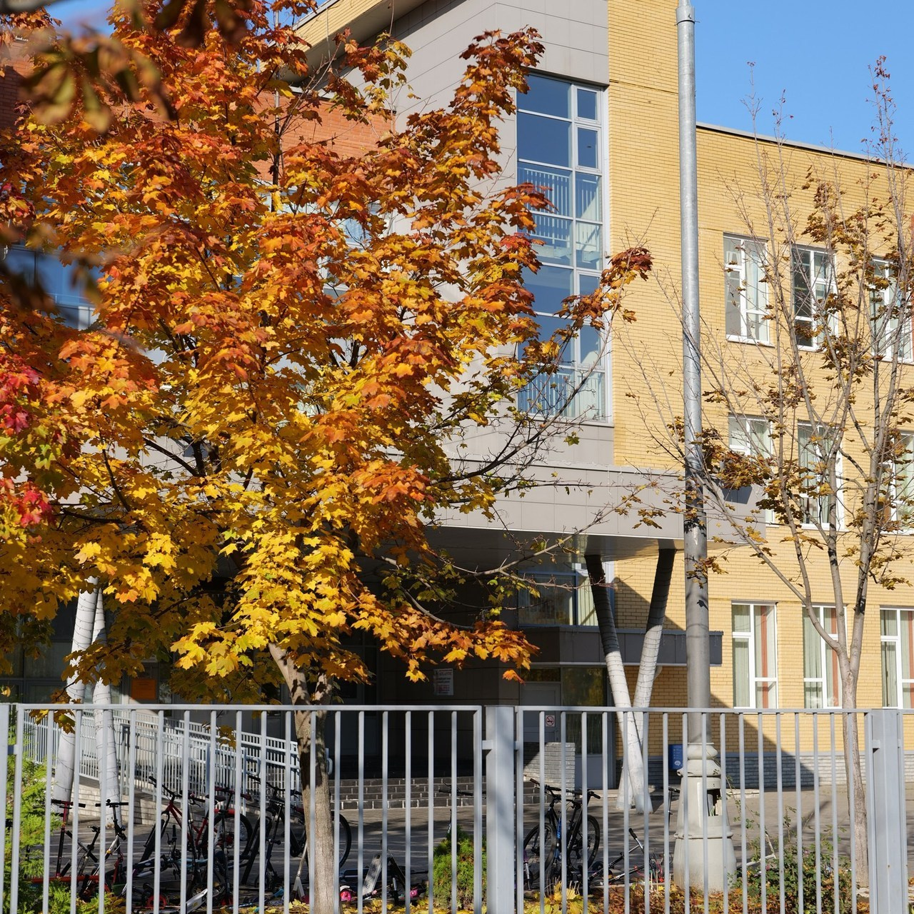 Отзывы. Семейный и женский фотограф в Москве Зоя Бучерова