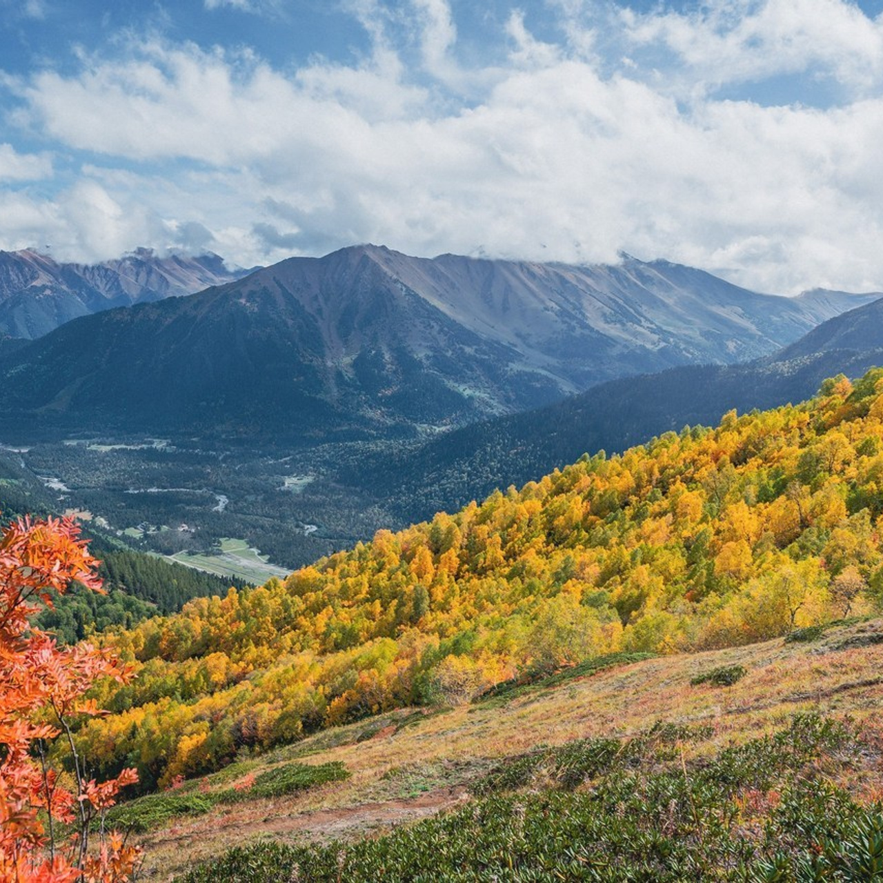 Отзывы. Репортажный фотограф в Краснодаре Рындин Дмитрий