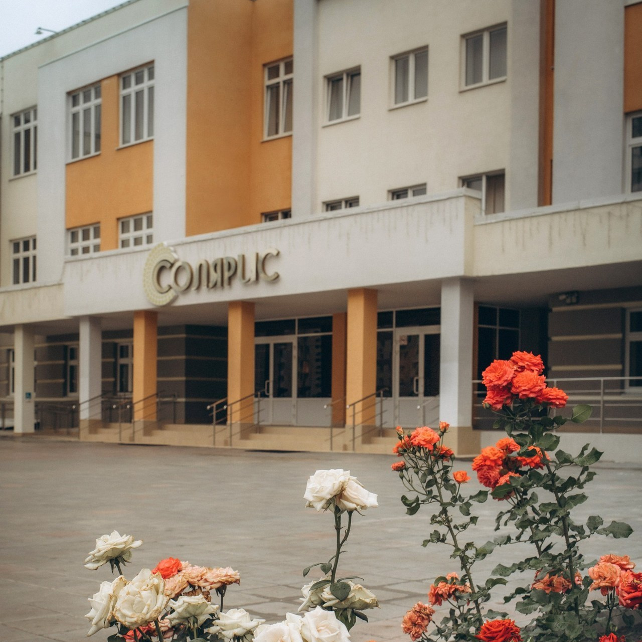 Отзывы. Портретный и семейный фотограф в Саратове Елена Шустова