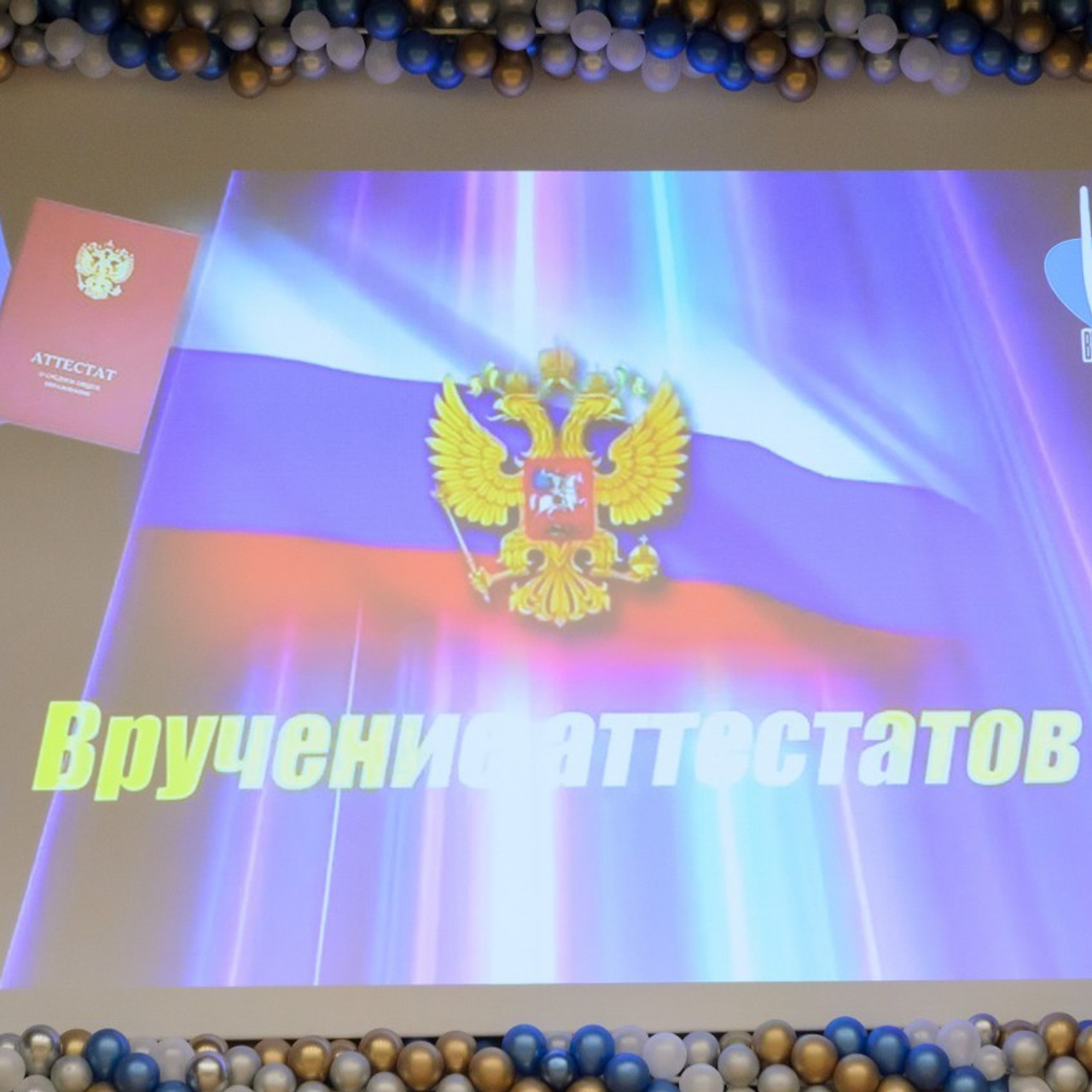 Отзывы Гаврилова Светлана. Фотограф Москва Светлана Гаврилова