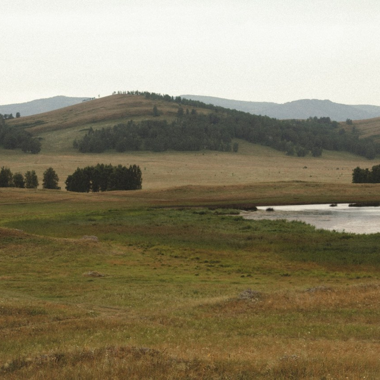 Отзывы. Семейный фотограф Светлана Медведева Магнитогорск
