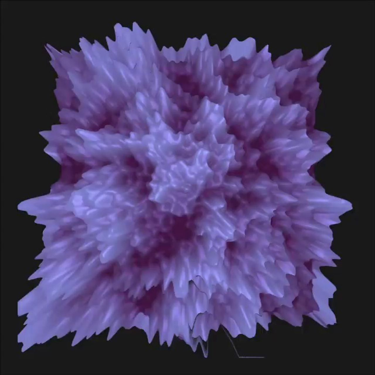 Generative graphics. Pauline limpoo, media artist