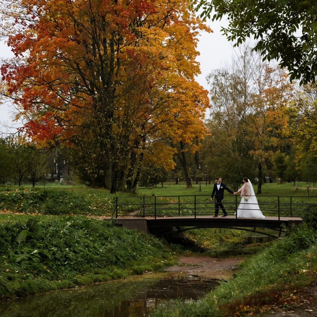 Отзывы. Свадебный и семейный фотограф с Санкт-Петербурге Ольга Стрижакова