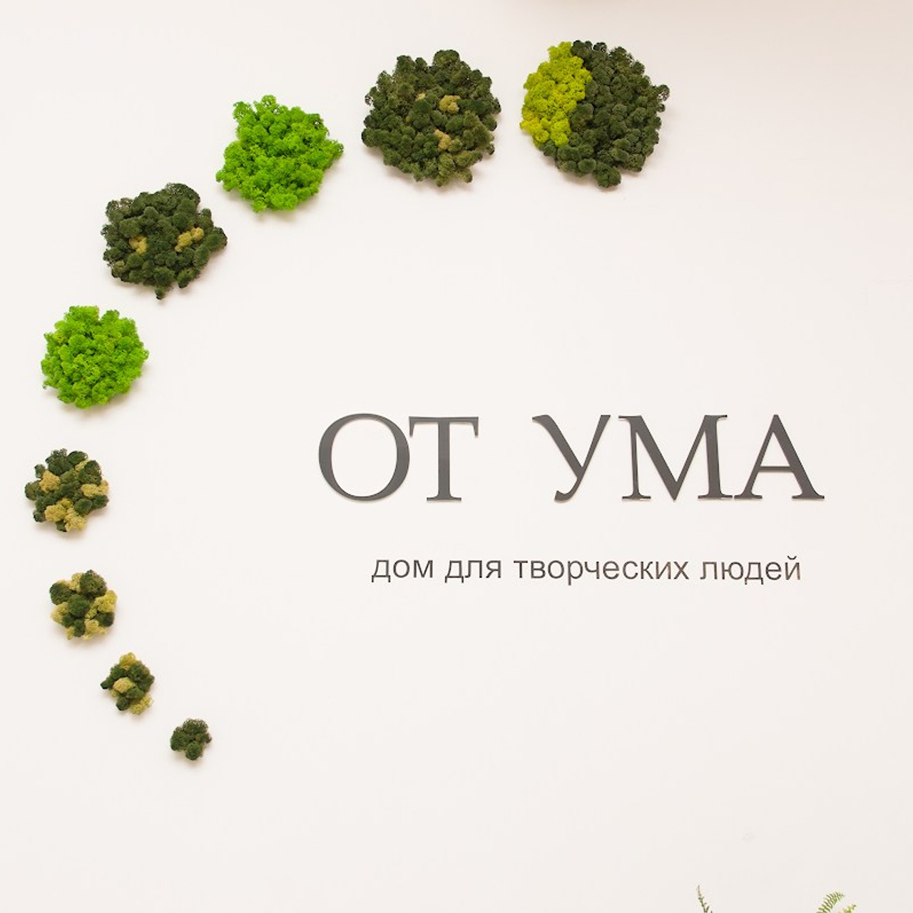 Мастер-класс художницы Анастасии Свиридовой
