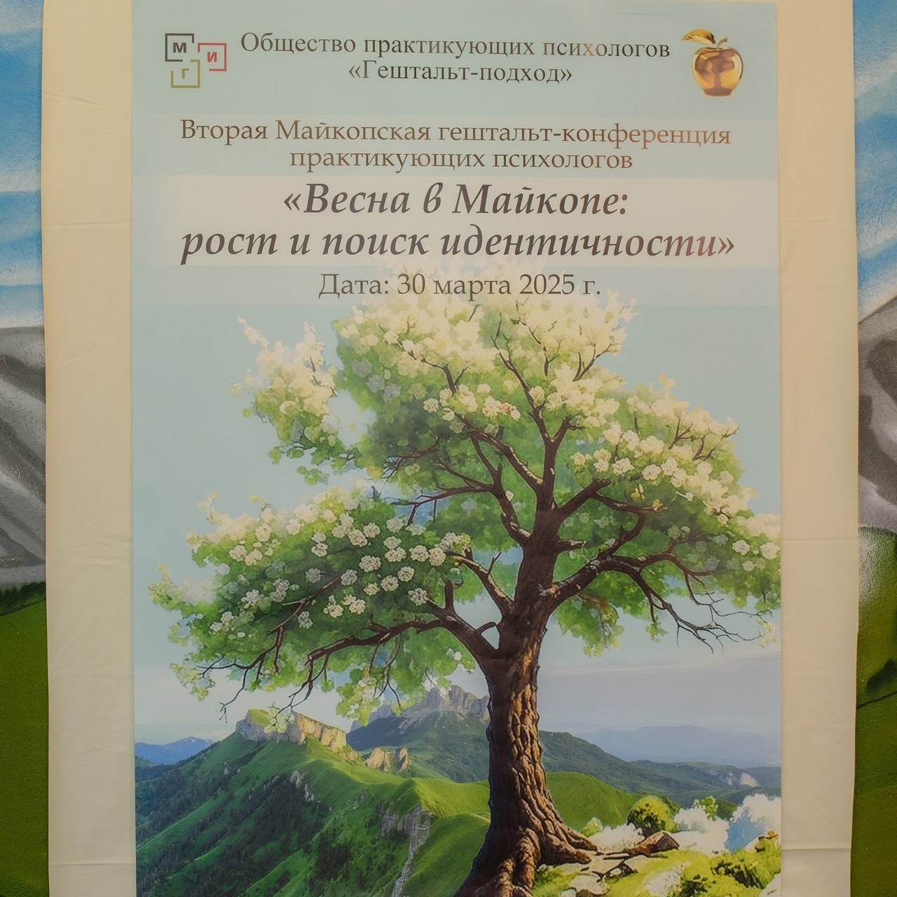 Отзывы. Фотостудия и фотограф в Майкопе — ProfessionalFoto