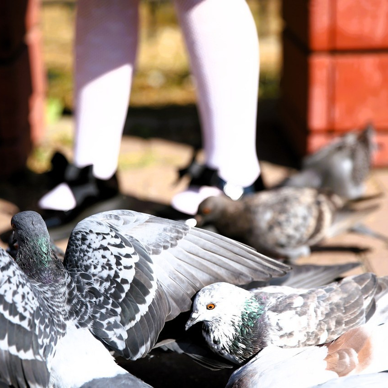 Отзывы. Детский фотограф