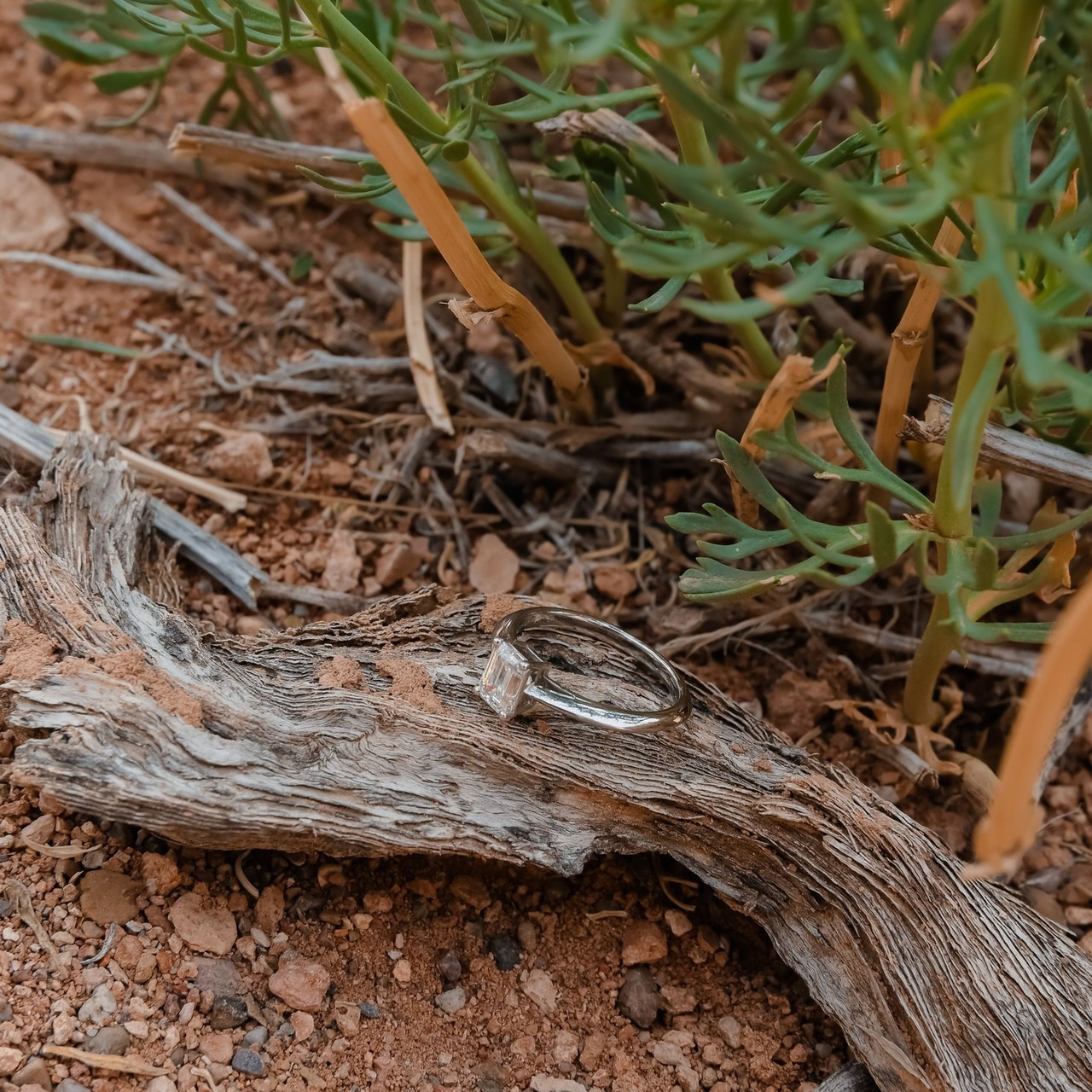 Отзывы. Услуги профессионального фотографа и видеографа. Алматы