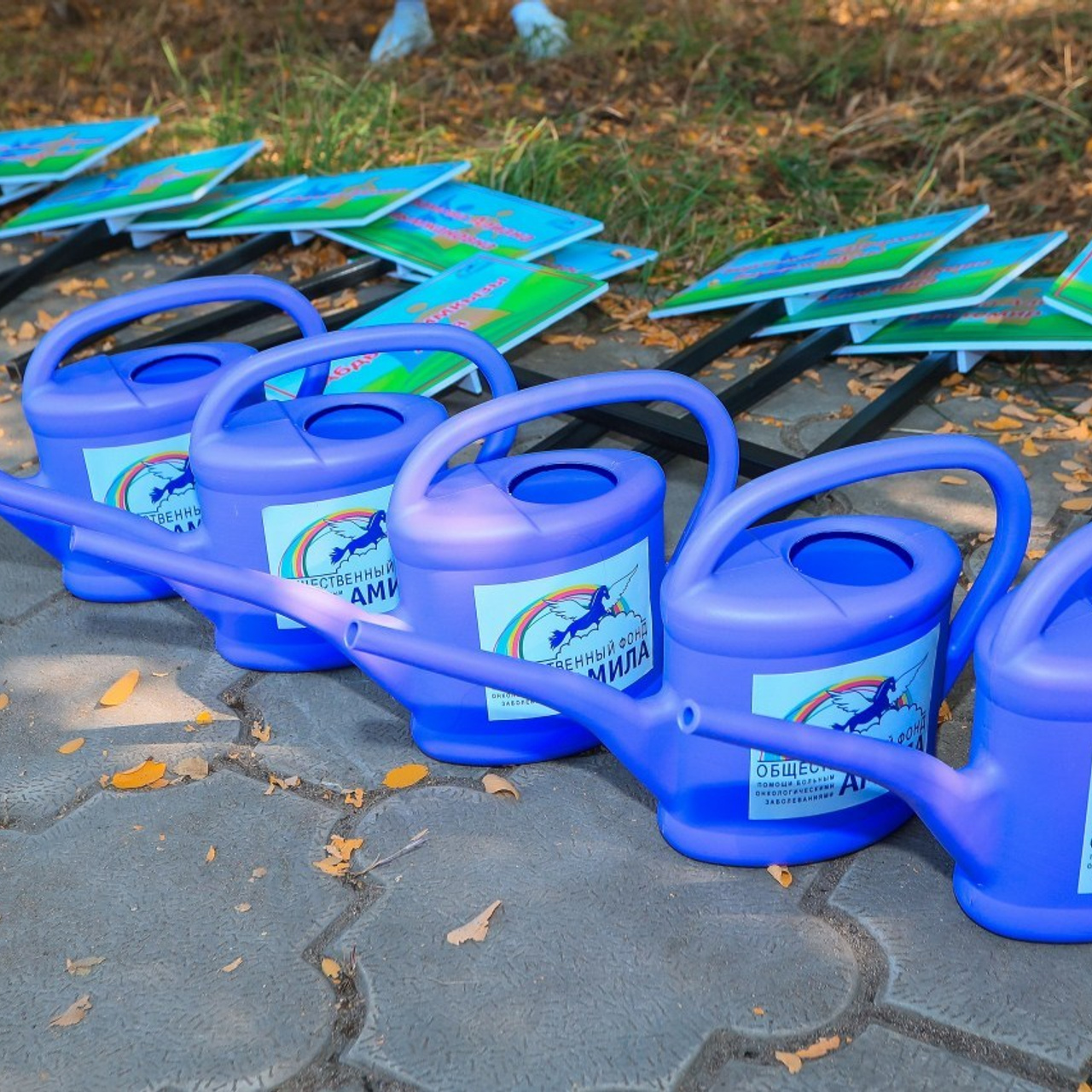 Отзывы. Услуги профессионального фотографа и видеографа. Алматы