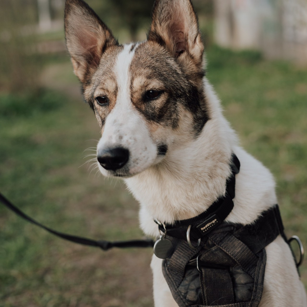 Отзывы. Фотограф в Санкт-Петербурге и Ленинградской области