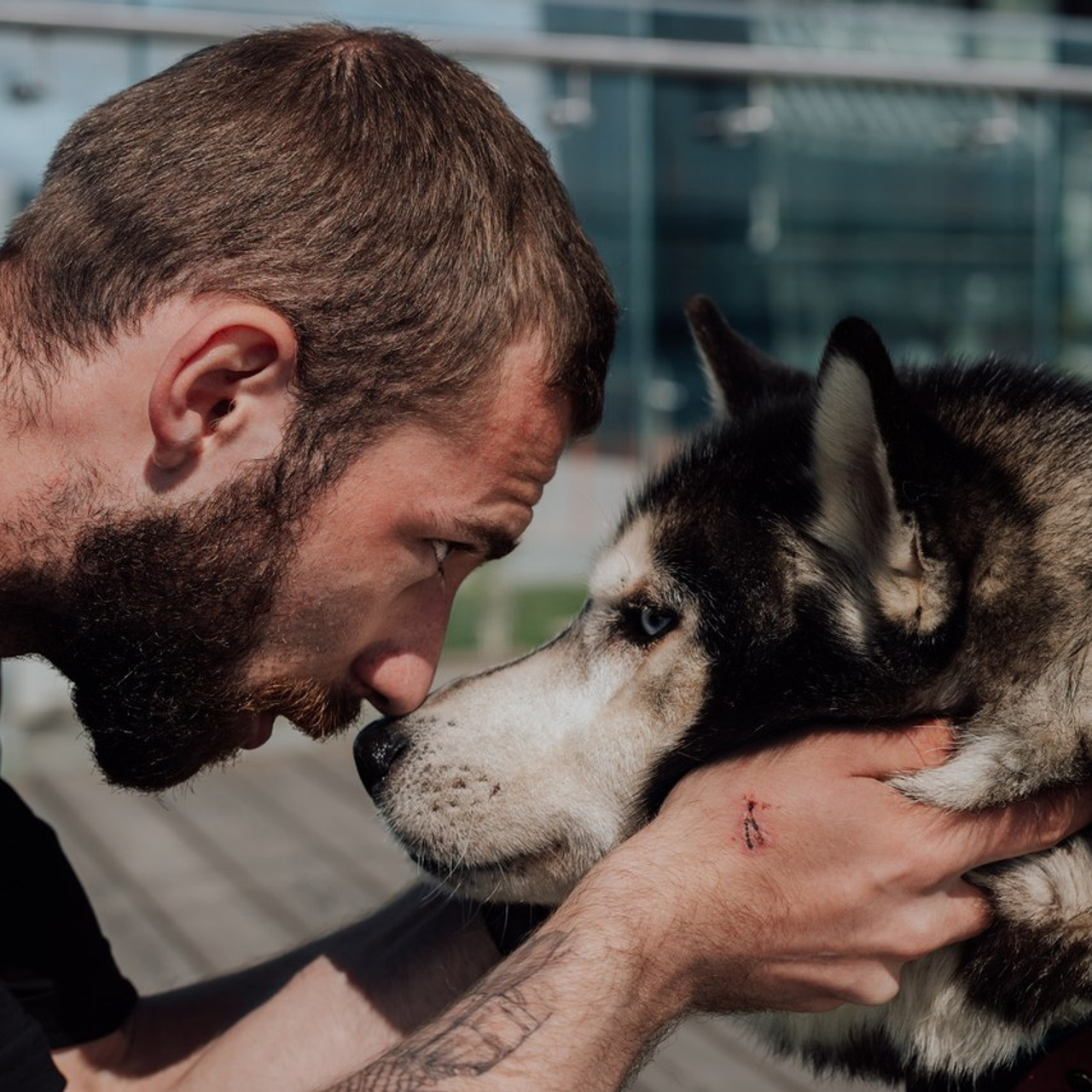 Отзывы. Фотограф в Санкт-Петербурге и Ленинградской области