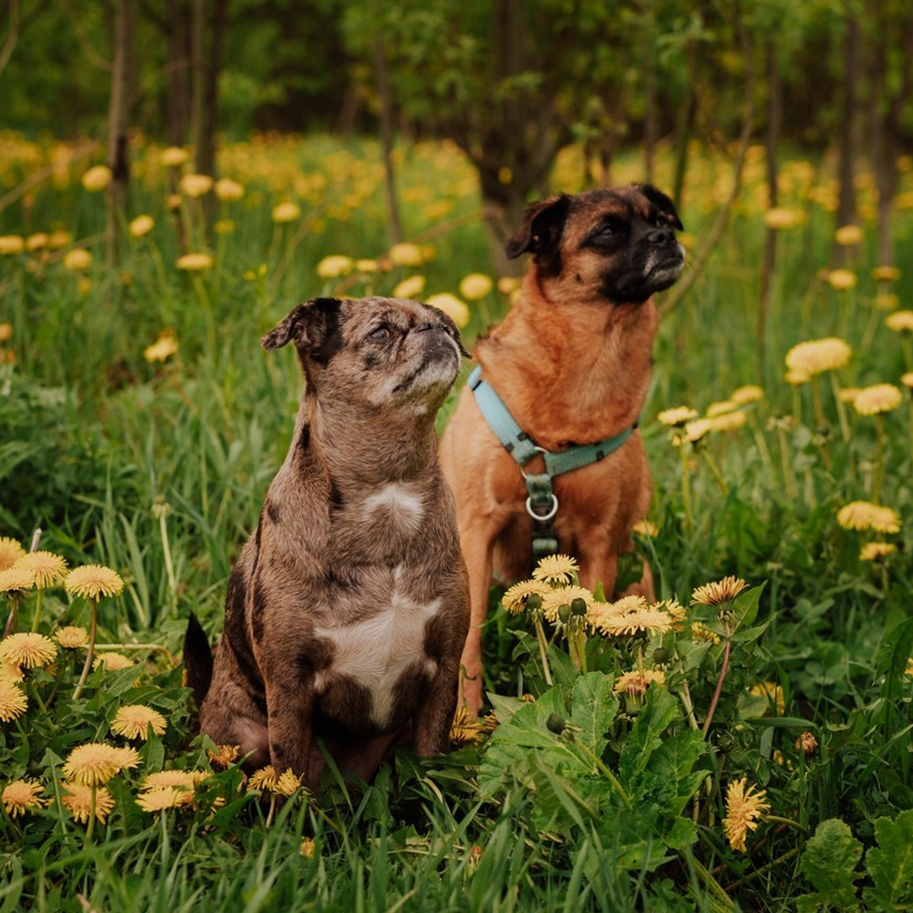 Отзывы. Фотограф в Санкт-Петербурге и Ленинградской области