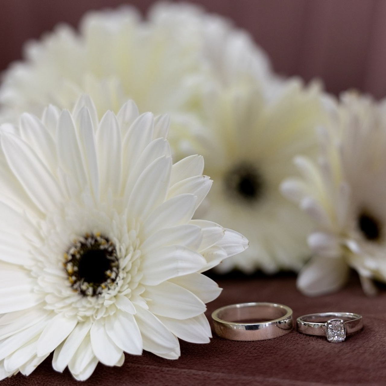 Отзывы. Свадебный и семейный фотограф Евгения Привалова. Новороссийск. Анапа