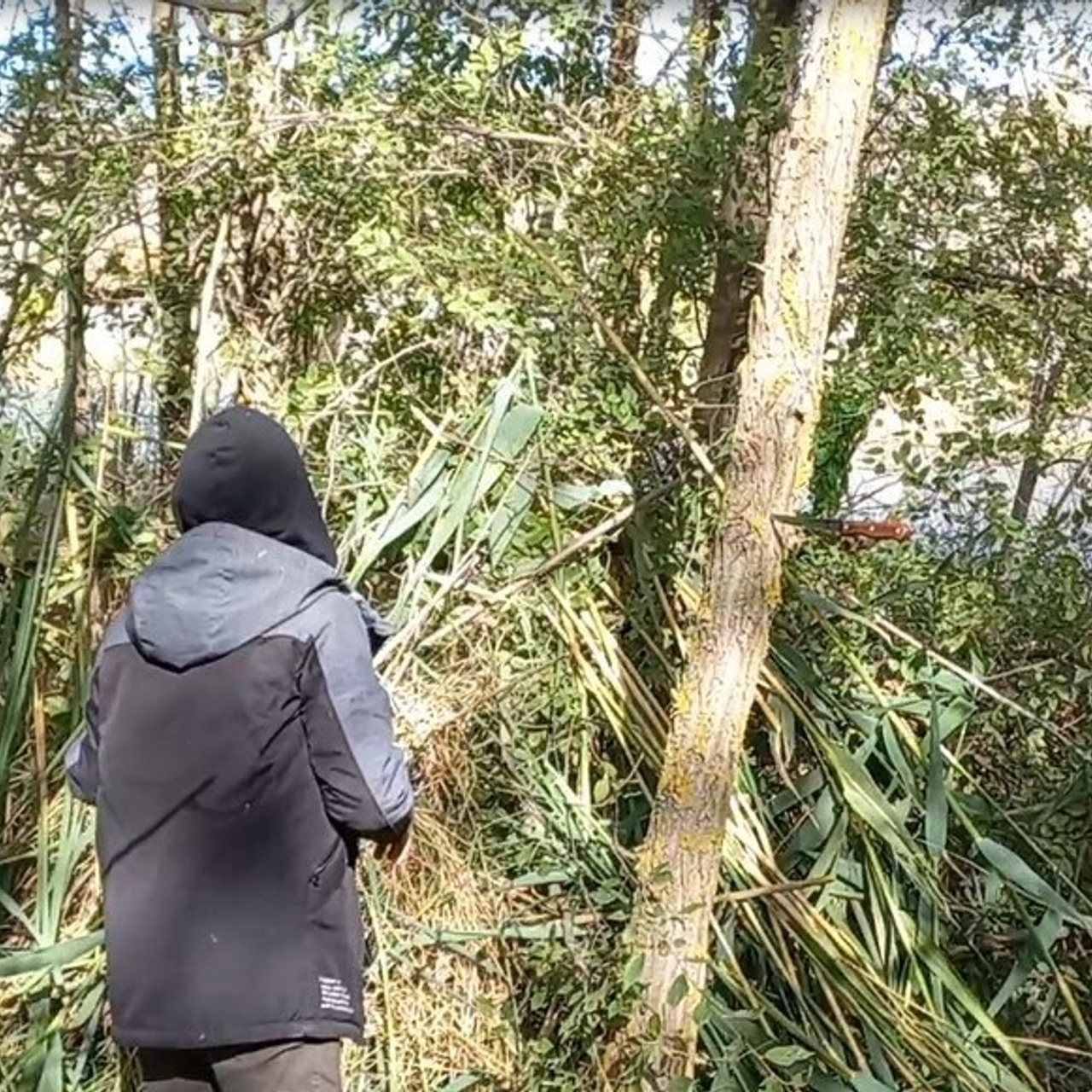 Клуб экстремальных видов спорта в Ростовской области