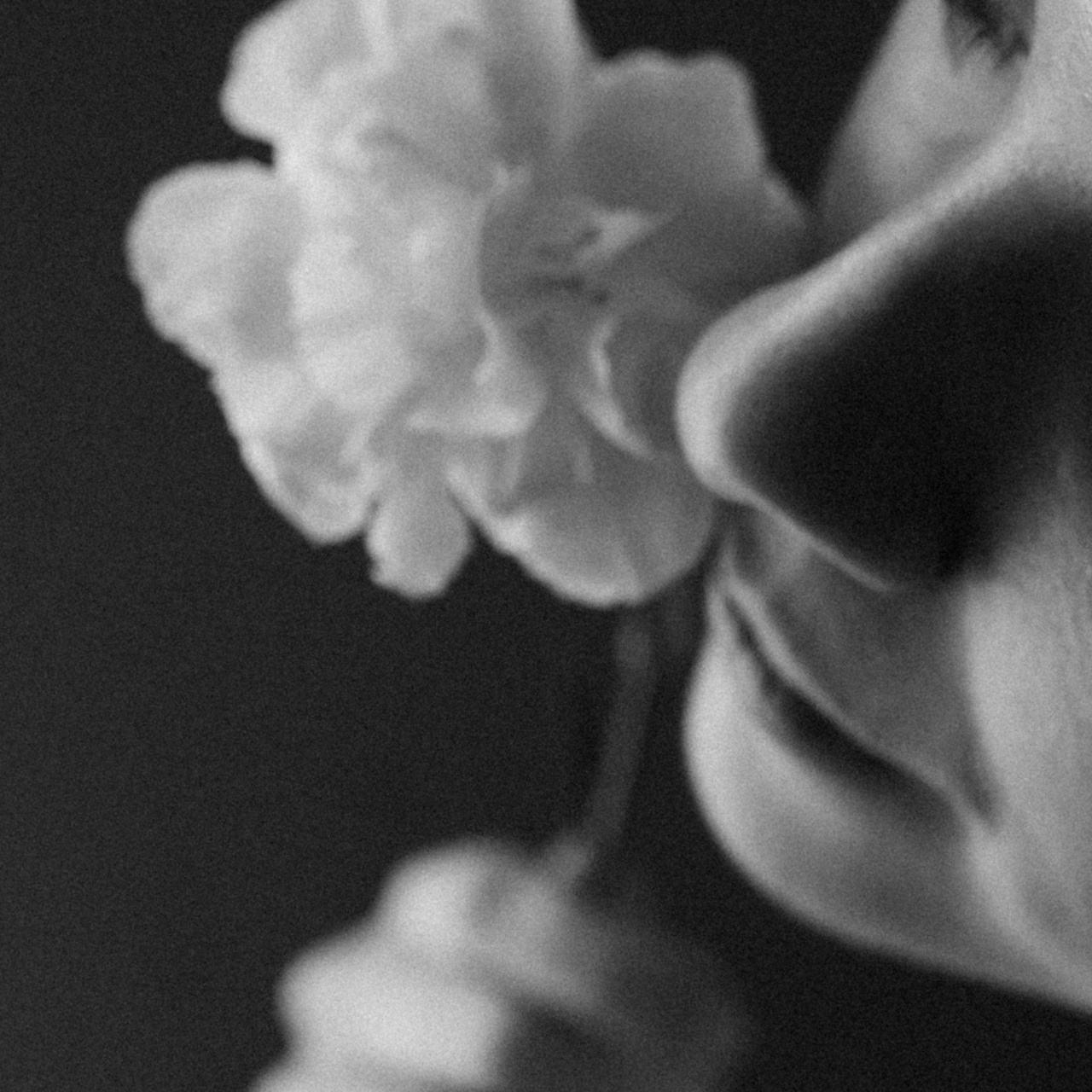 Отзывы. Фотограф в Екатеринбурге Аня Махмина