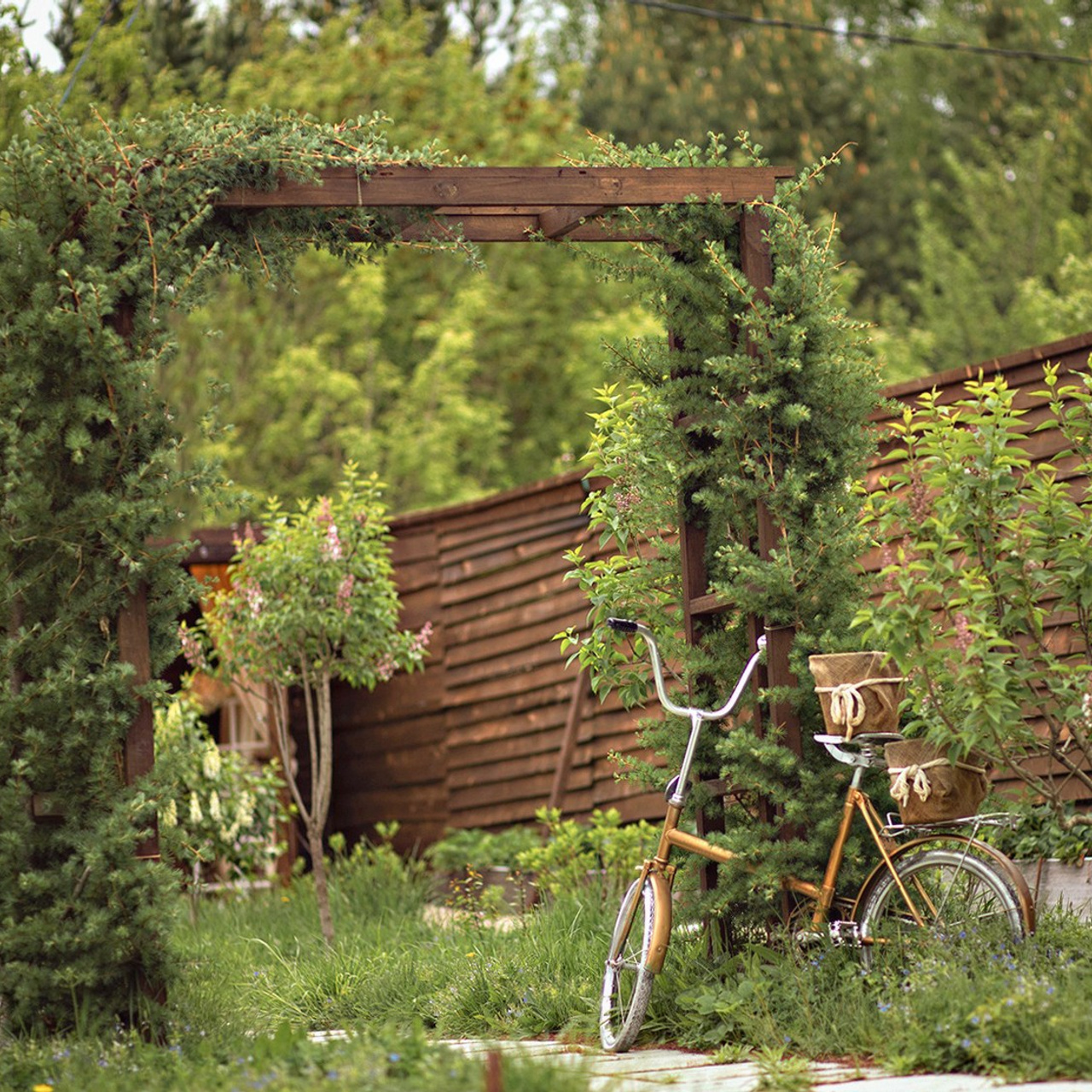 Фотографирую в парке-заповеднике «Купидон»