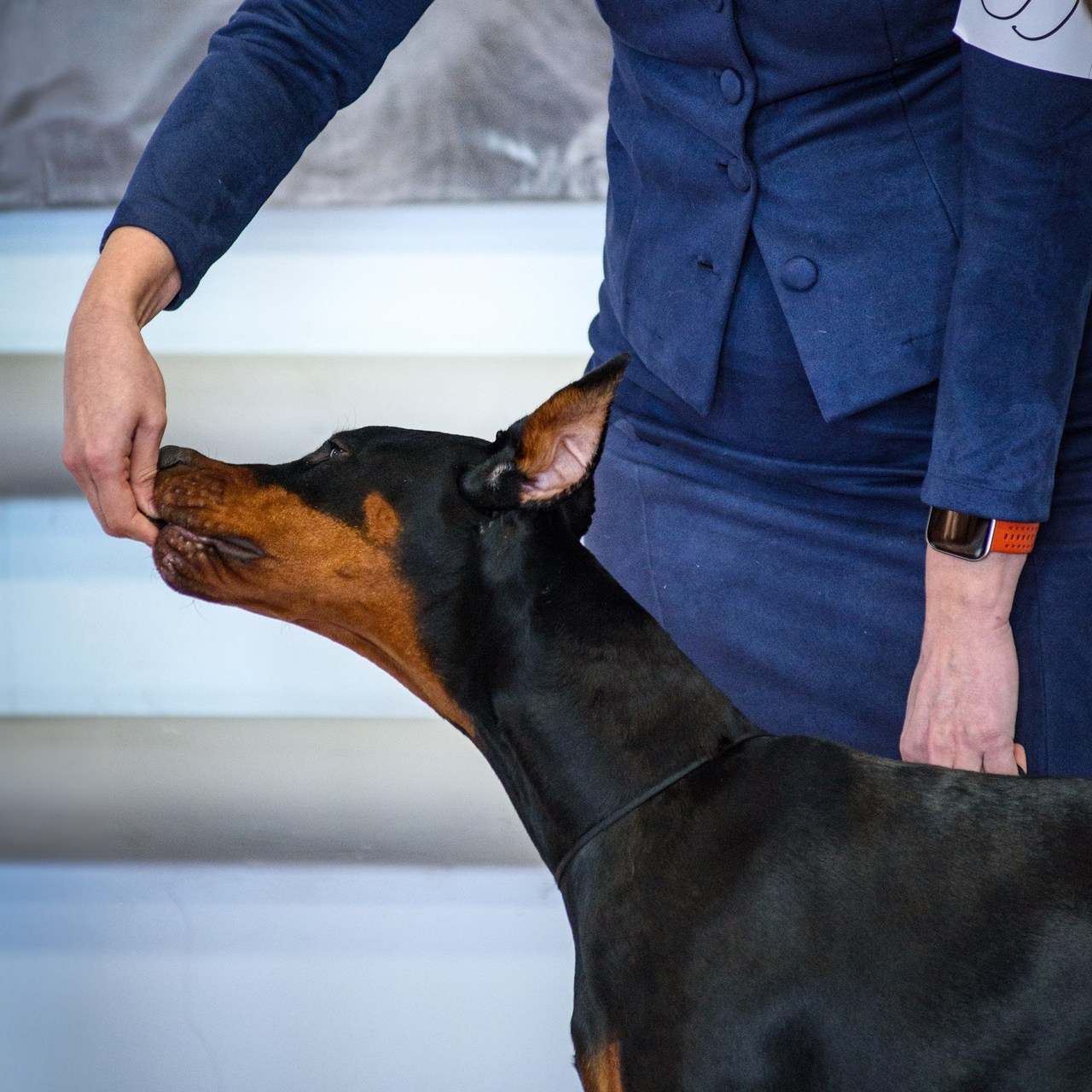 Отзывы. Фотограф анималист Благовещенск. Сафонова Виктория