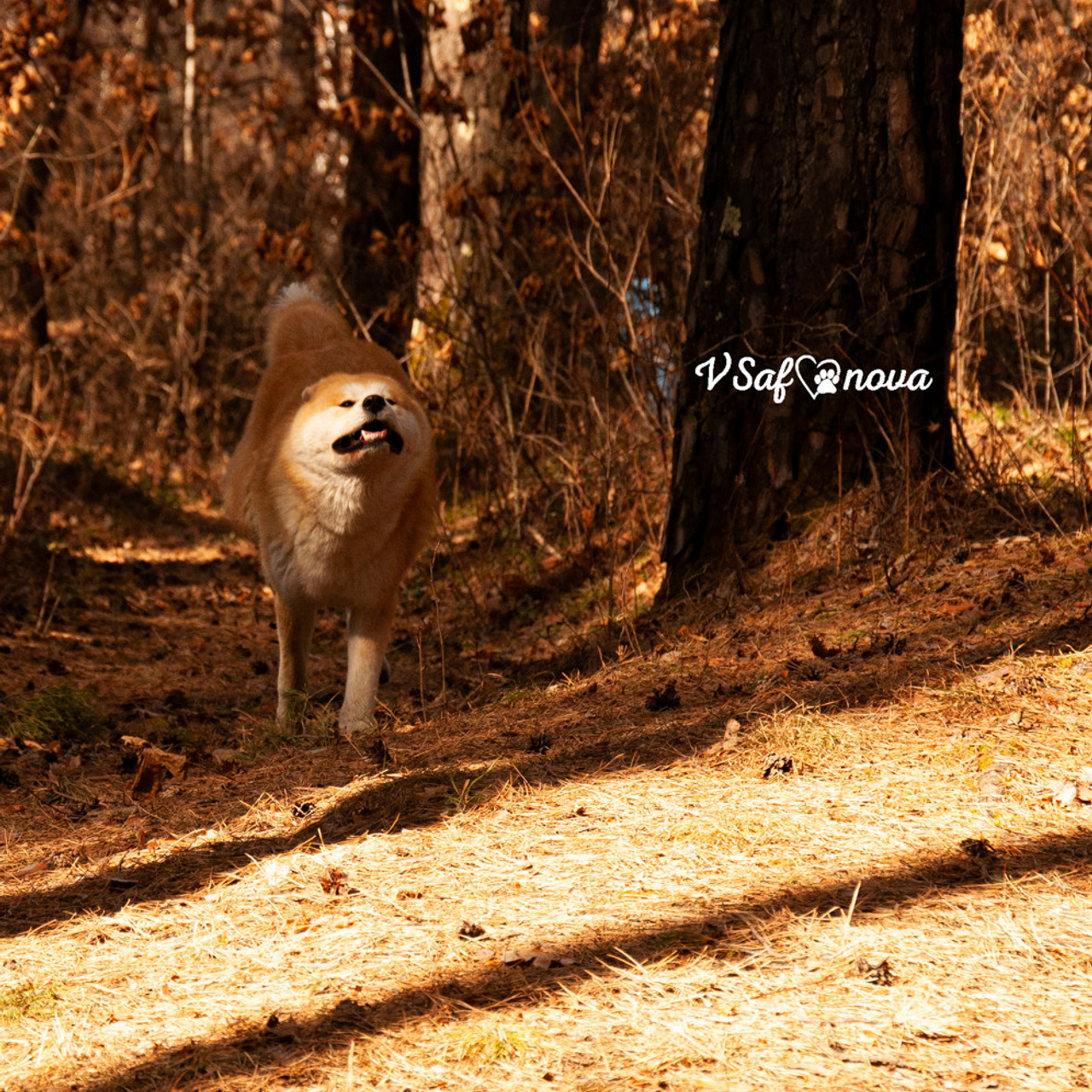 Алена, Кирилл и Фуми 09.04.2021