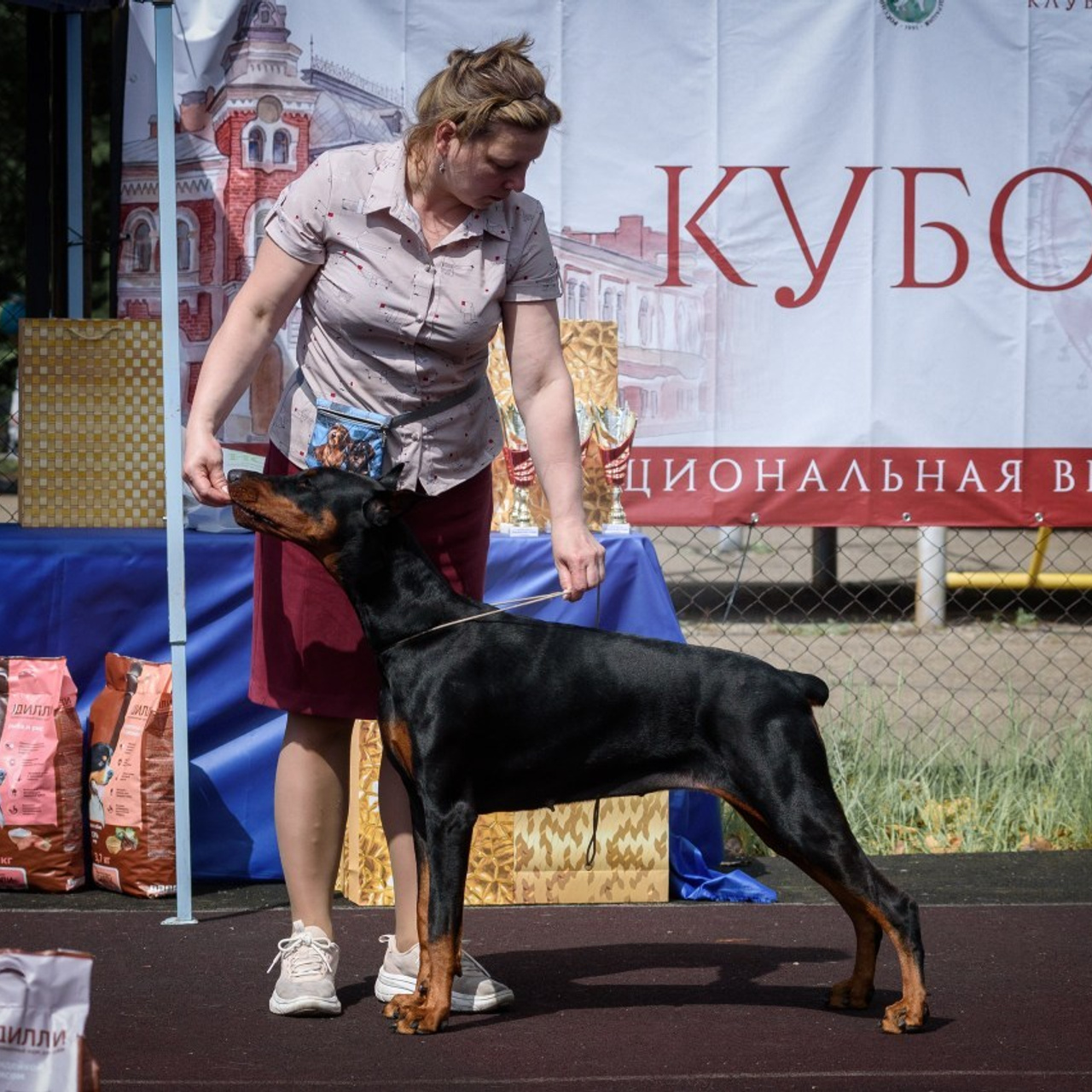Отзывы. Фотограф анималист Благовещенск. Сафонова Виктория