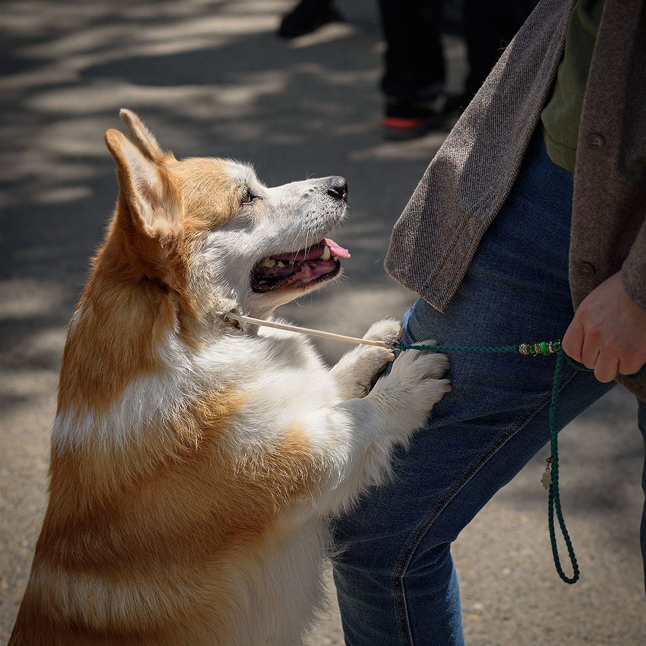 24–25 мая 2025. Благовещенск