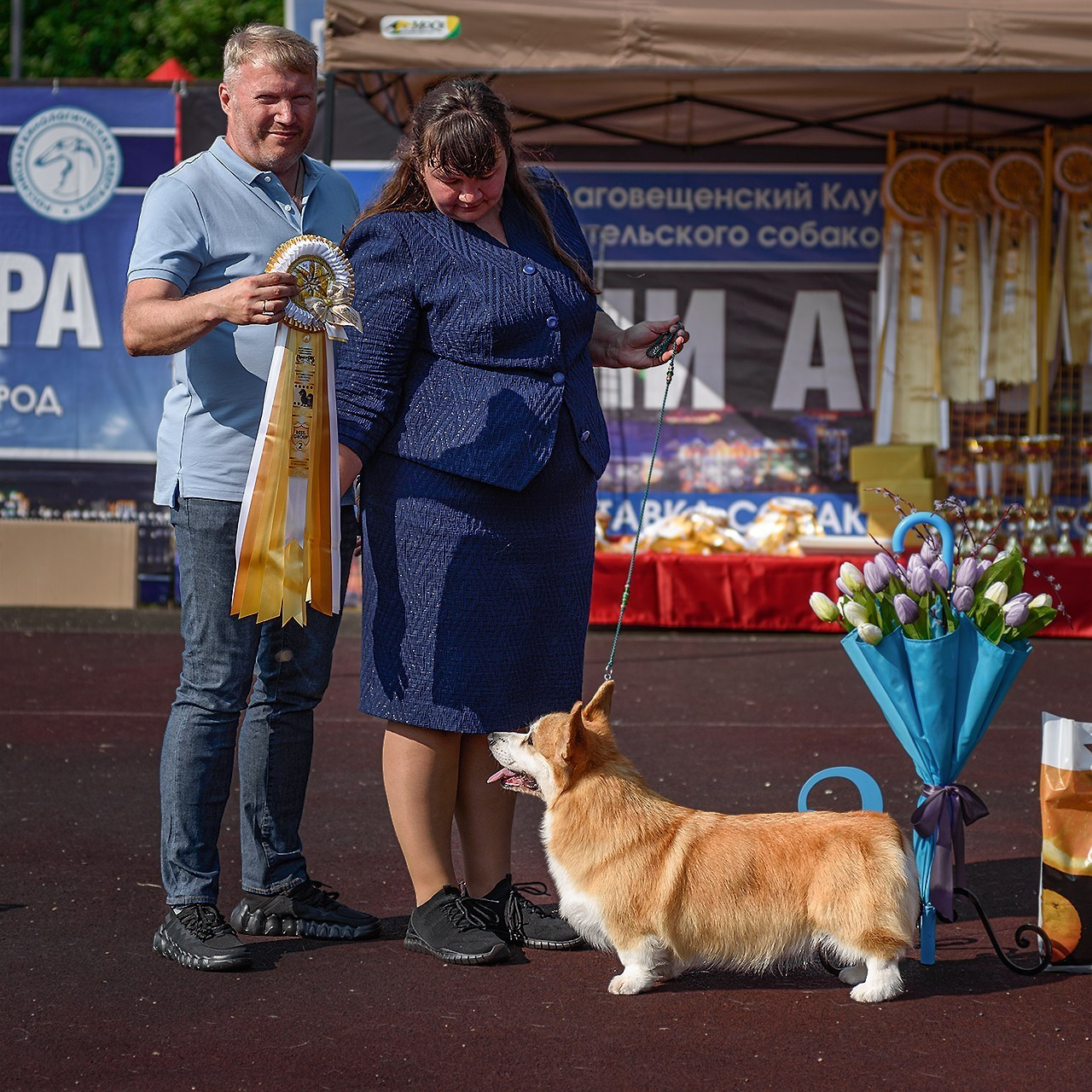 Отзывы. Фотограф анималист Благовещенск. Сафонова Виктория