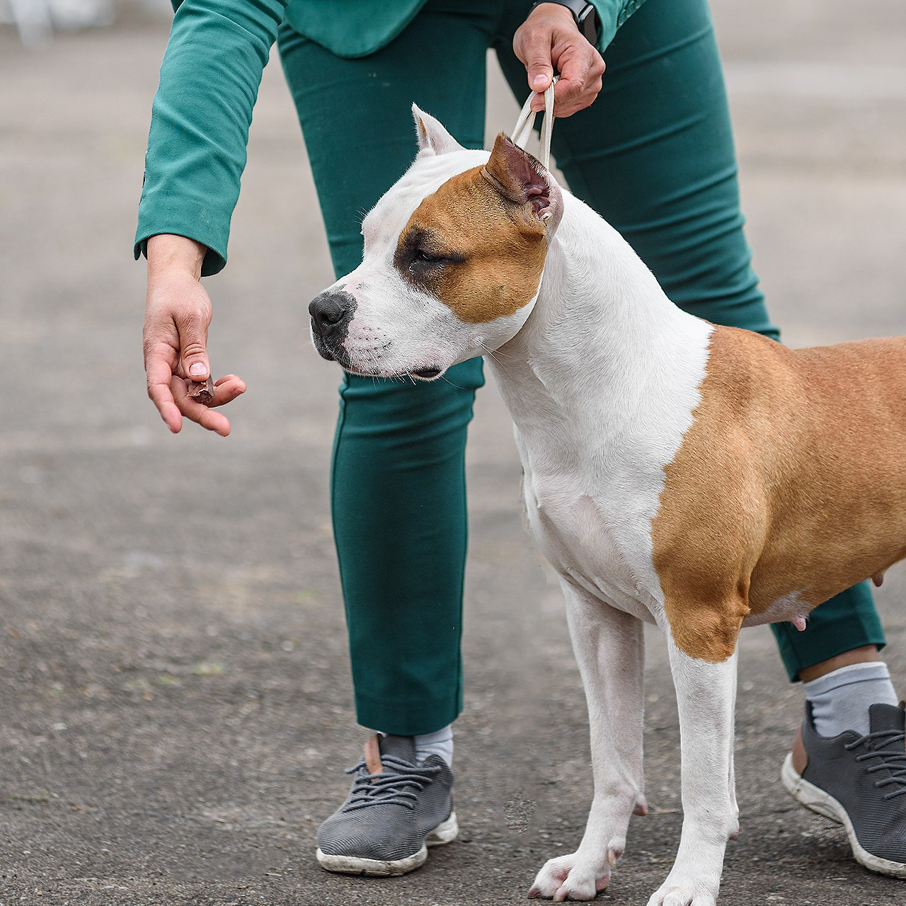 15 июня 2024 Биробиджан