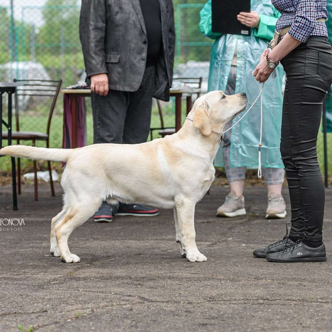Отзывы. Фотограф анималист Благовещенск. Сафонова Виктория