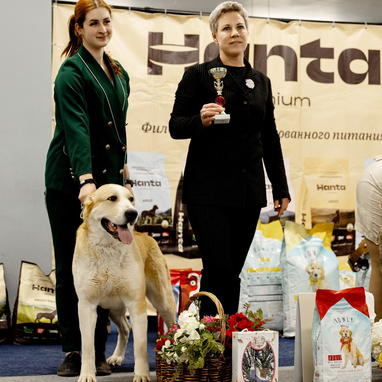 Отзывы клиентов — бренд-фотограф и фотограф-анималист в Москве и области. Фотограф-анималист и бренд-фотограф в Москве | Фотография собак, людей, бизнес-портрет