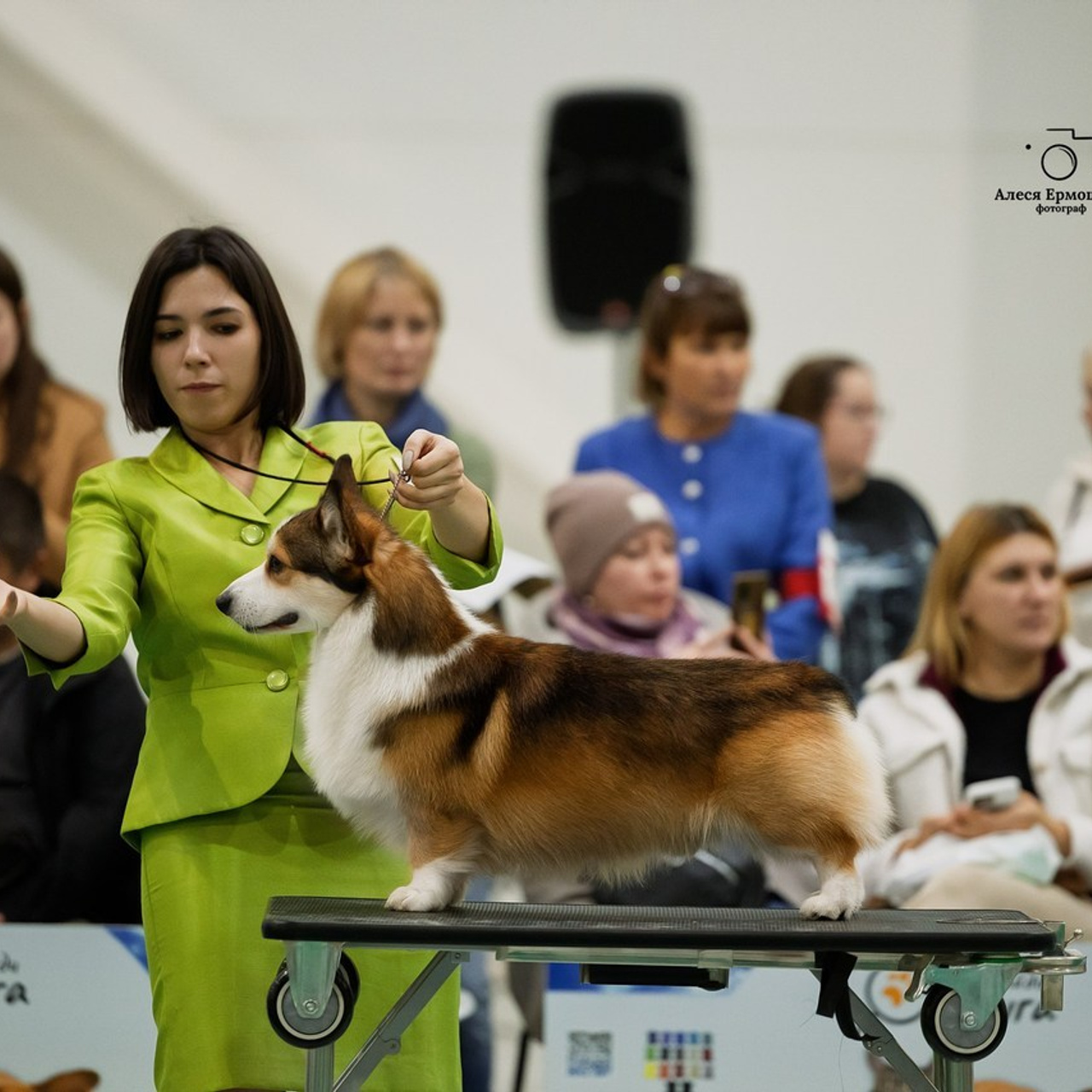 Отзывы клиентов — бренд-фотограф и фотограф-анималист в Москве и области. Фотограф-анималист и бренд-фотограф в Москве | Фотография собак, людей, бизнес-портрет