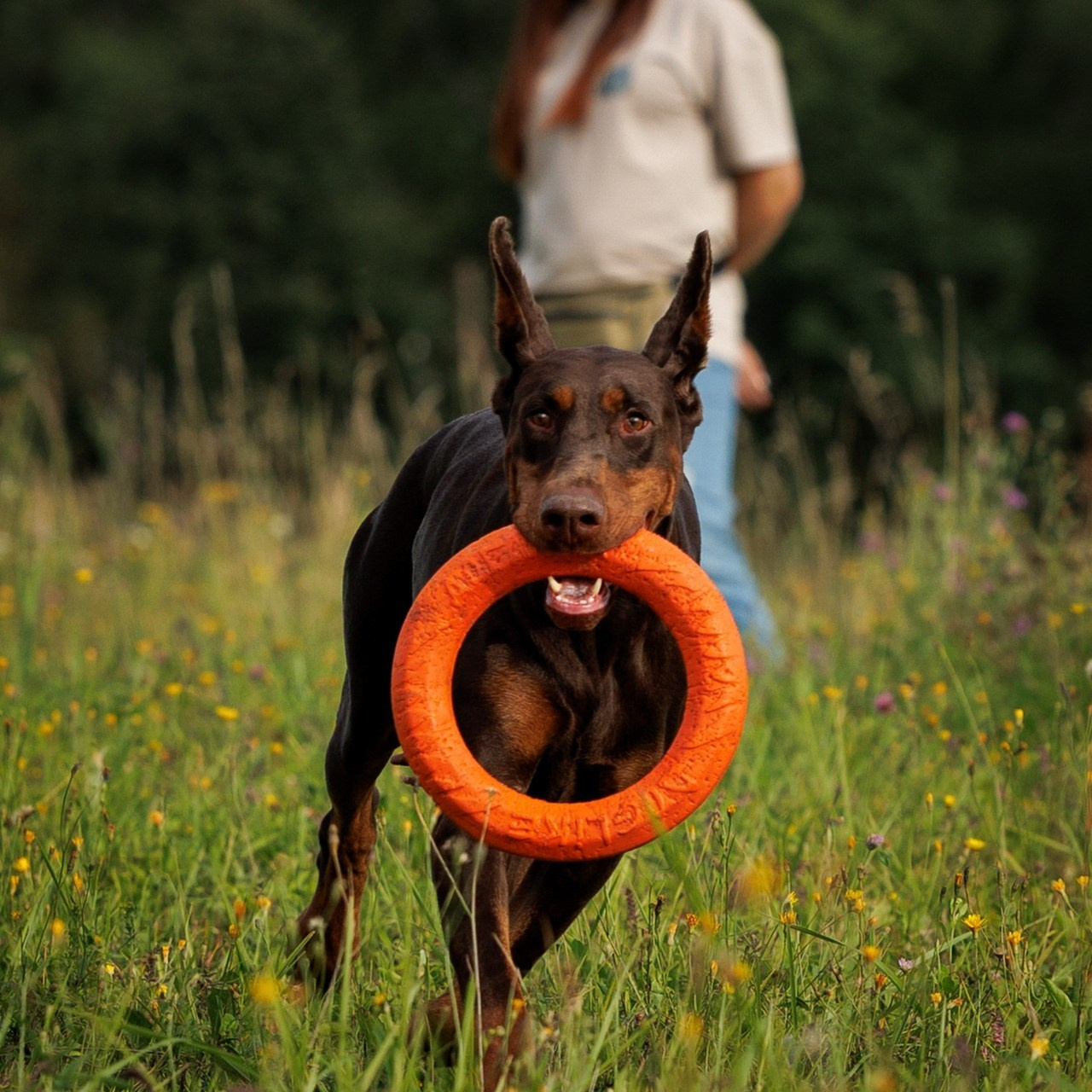 Отзывы клиентов — бренд-фотограф и фотограф-анималист в Москве и области. Фотограф-анималист и бренд-фотограф в Москве | Фотография собак, людей, бизнес-портрет