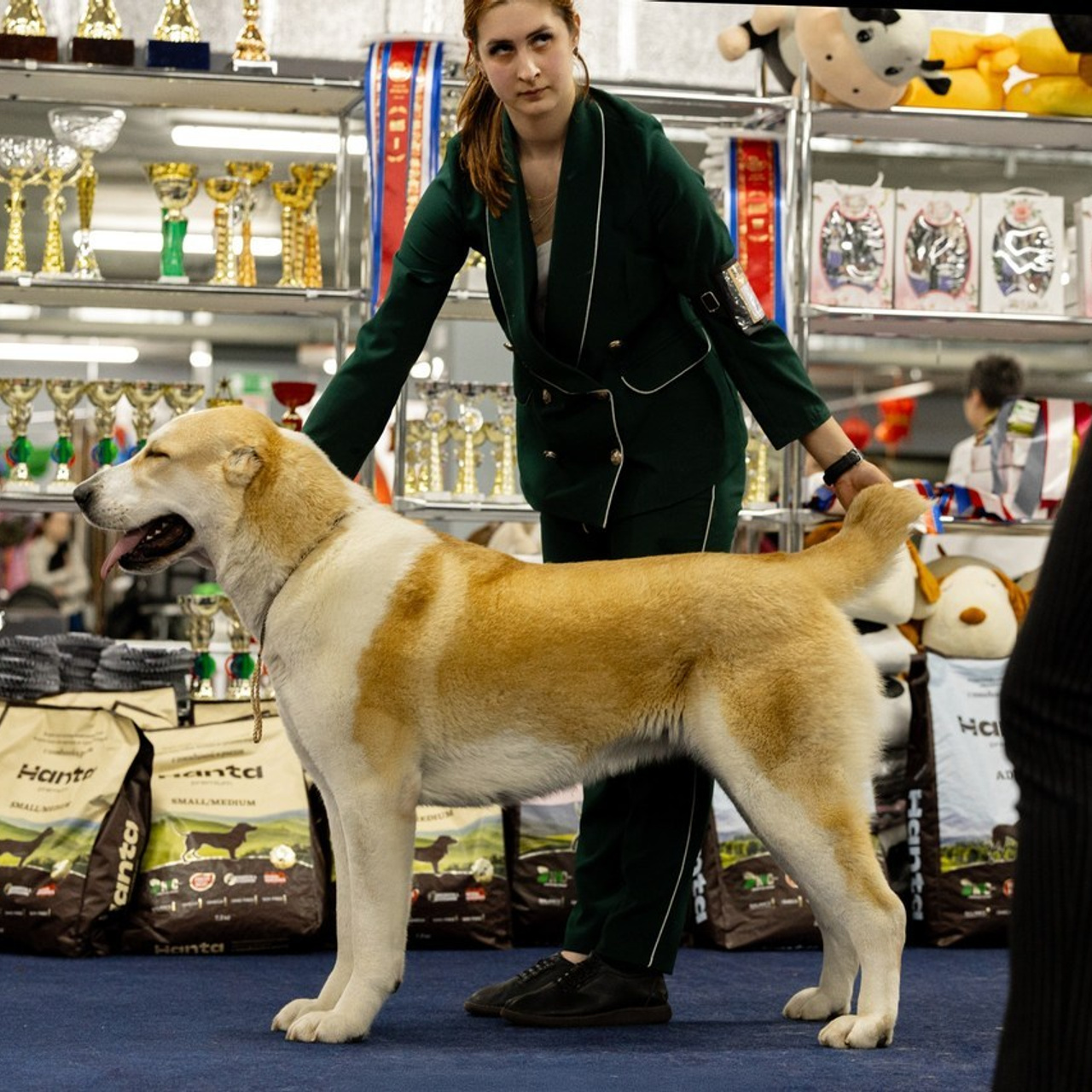 Отзывы клиентов — бренд-фотограф и фотограф-анималист в Москве и области. Фотограф-анималист и бренд-фотограф в Москве | Фотография собак, людей, бизнес-портрет
