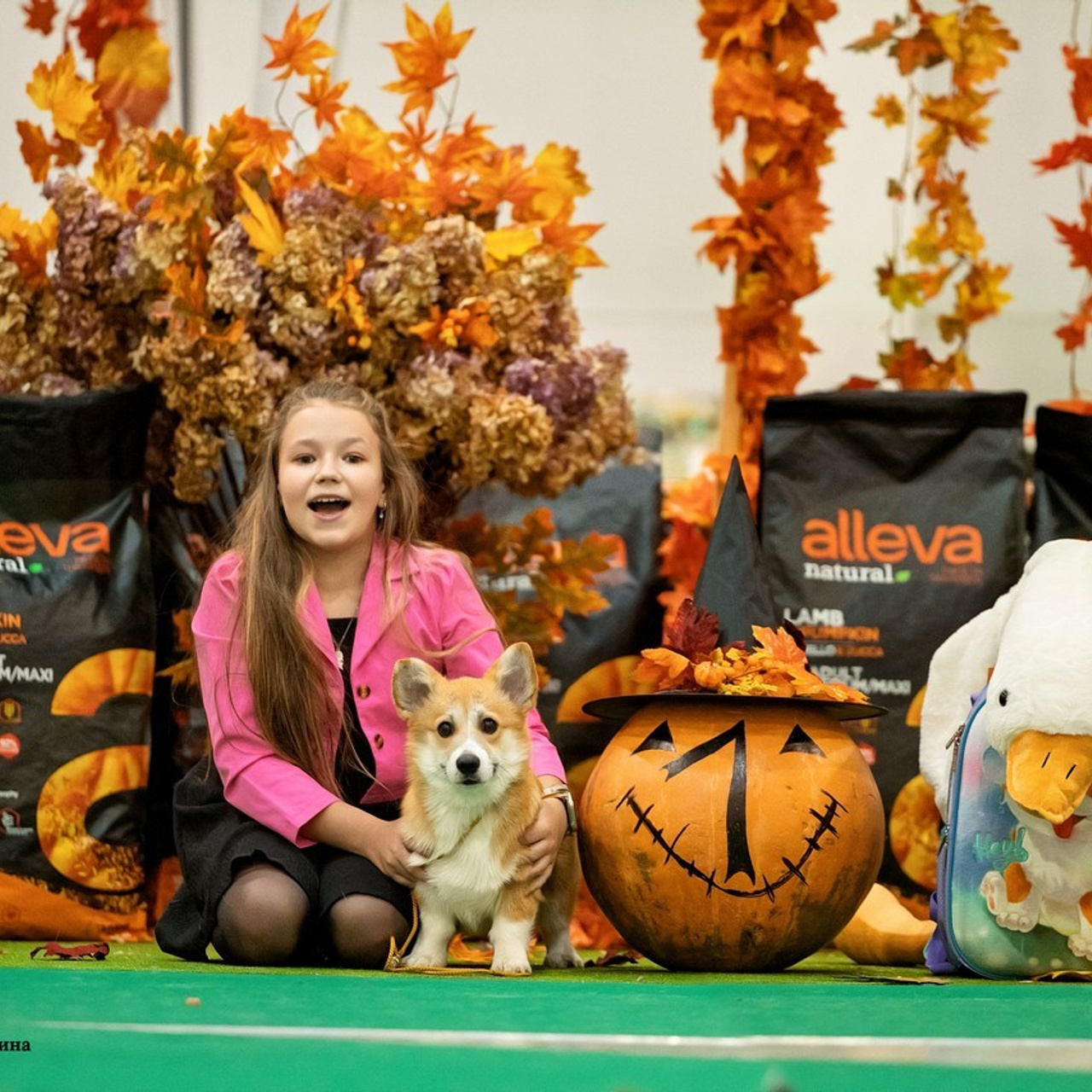 Отзывы клиентов — бренд-фотограф и фотограф-анималист в Москве и области. Фотограф-анималист и бренд-фотограф в Москве | Фотография собак, людей, бизнес-портрет
