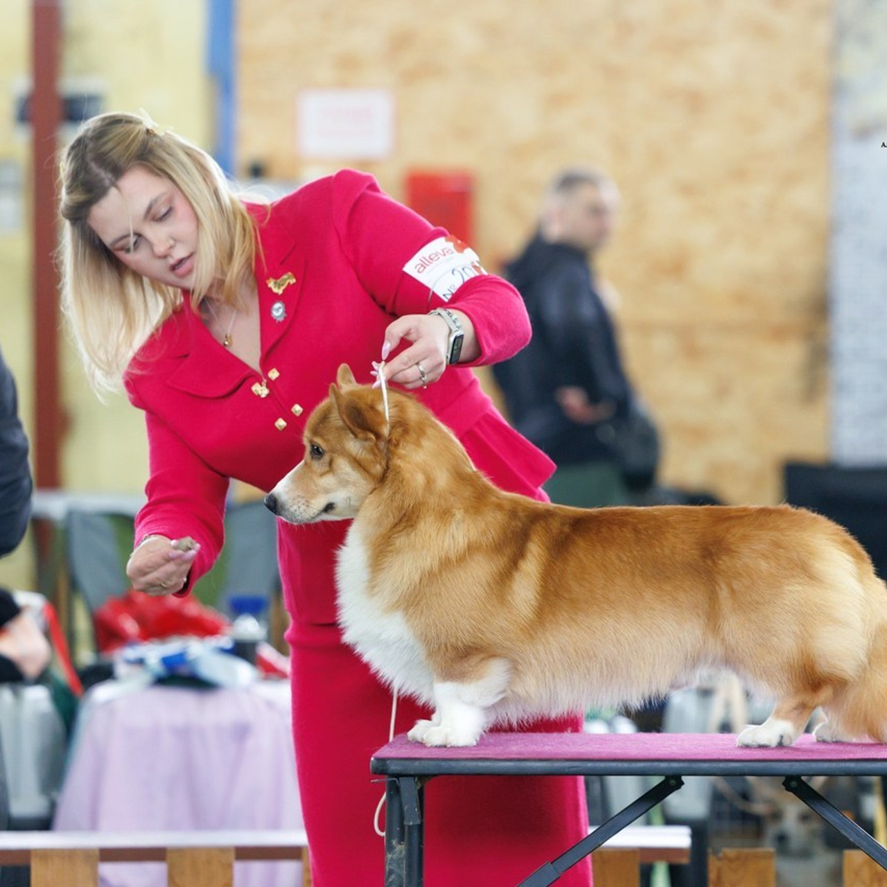 Отзывы клиентов — бренд-фотограф и фотограф-анималист в Москве и области. Фотограф-анималист и бренд-фотограф в Москве | Фотография собак, людей, бизнес-портрет
