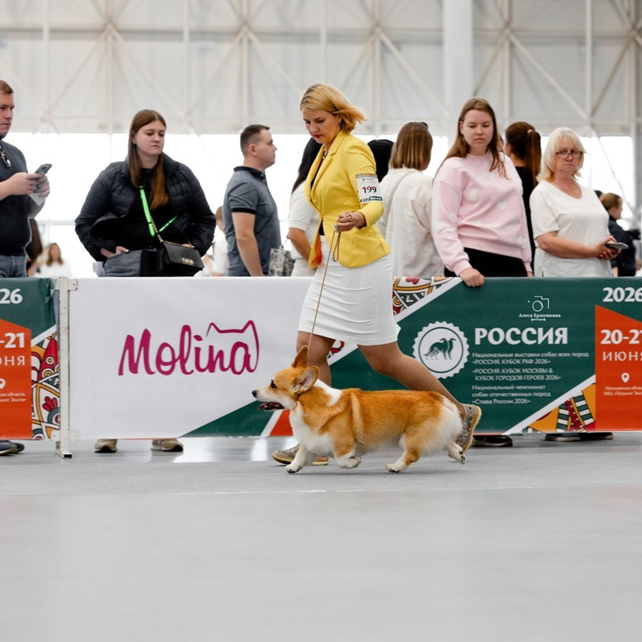 Отзывы клиентов — бренд-фотограф и фотограф-анималист в Москве и области. Фотограф-анималист и бренд-фотограф в Москве | Фотография собак, людей, бизнес-портрет