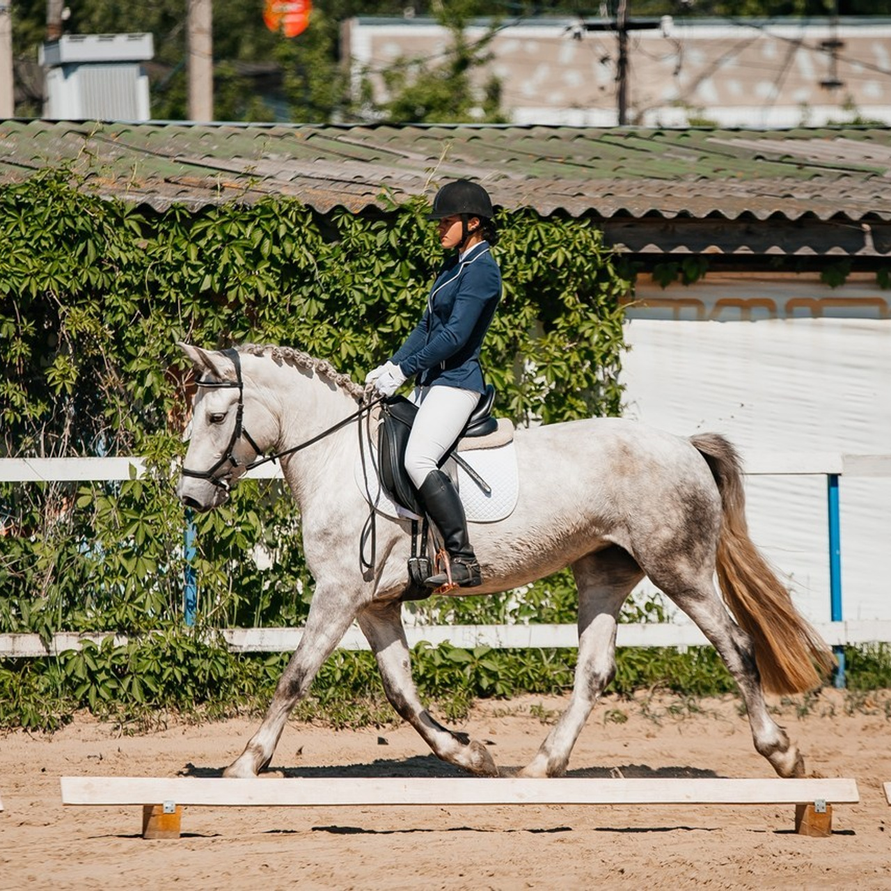 Отзывы. Фотограф Рязань