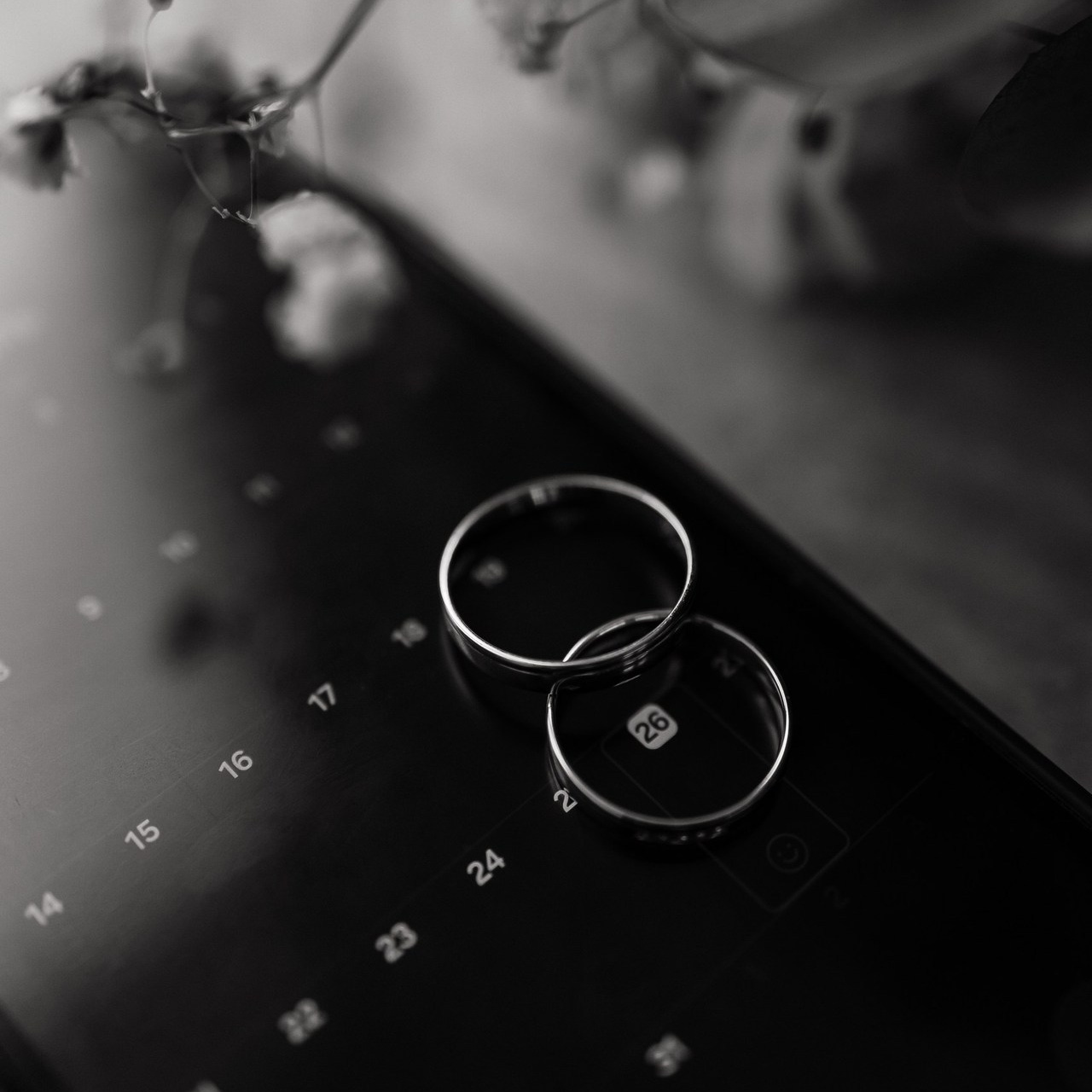 Отзывы. Фотограф Норильск, Москва