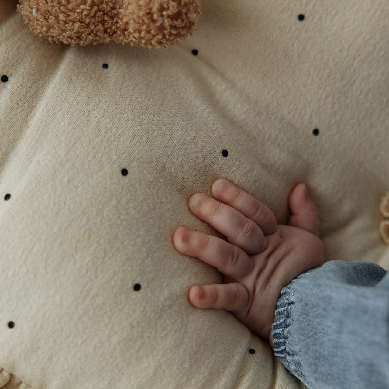 Отзывы. Фотограф Норильск, Москва