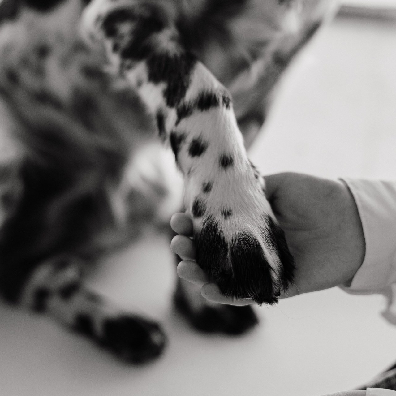 Отзывы. Фотограф Норильск, Москва