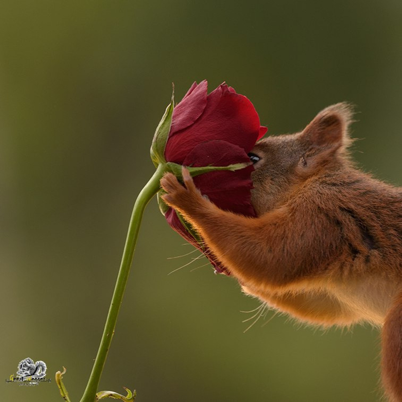Recenze. Rodinná a svatební fotografka v Praze, Brně, Vídni a Bratislavě — Jane Reutova